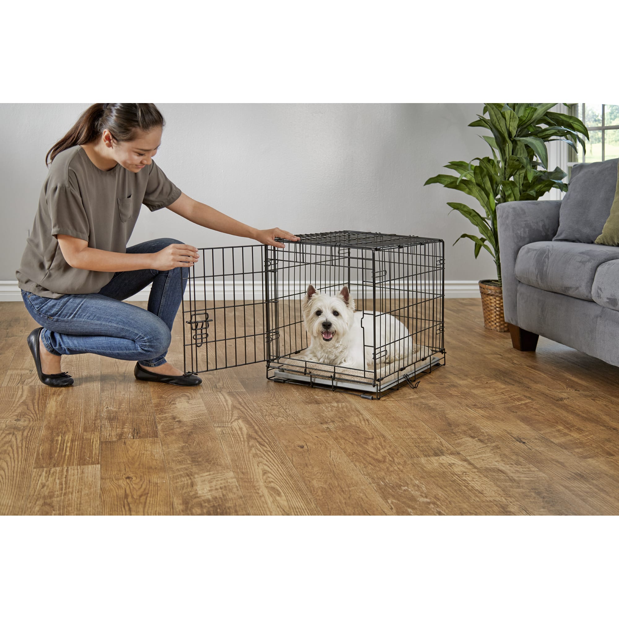 Petco Dog Crates & Crate Accessories on Sale Up to 75% Off