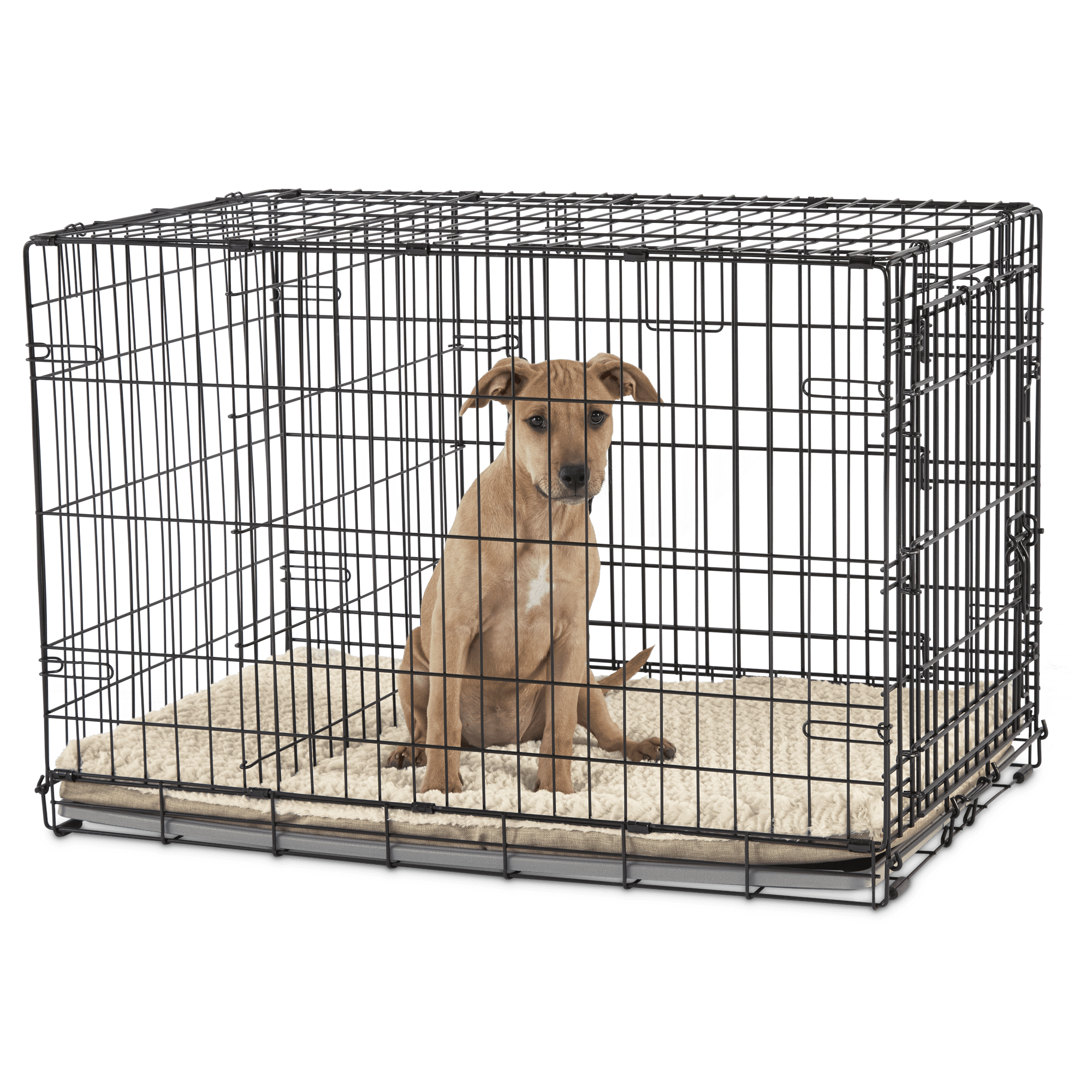 Petco store dog cages