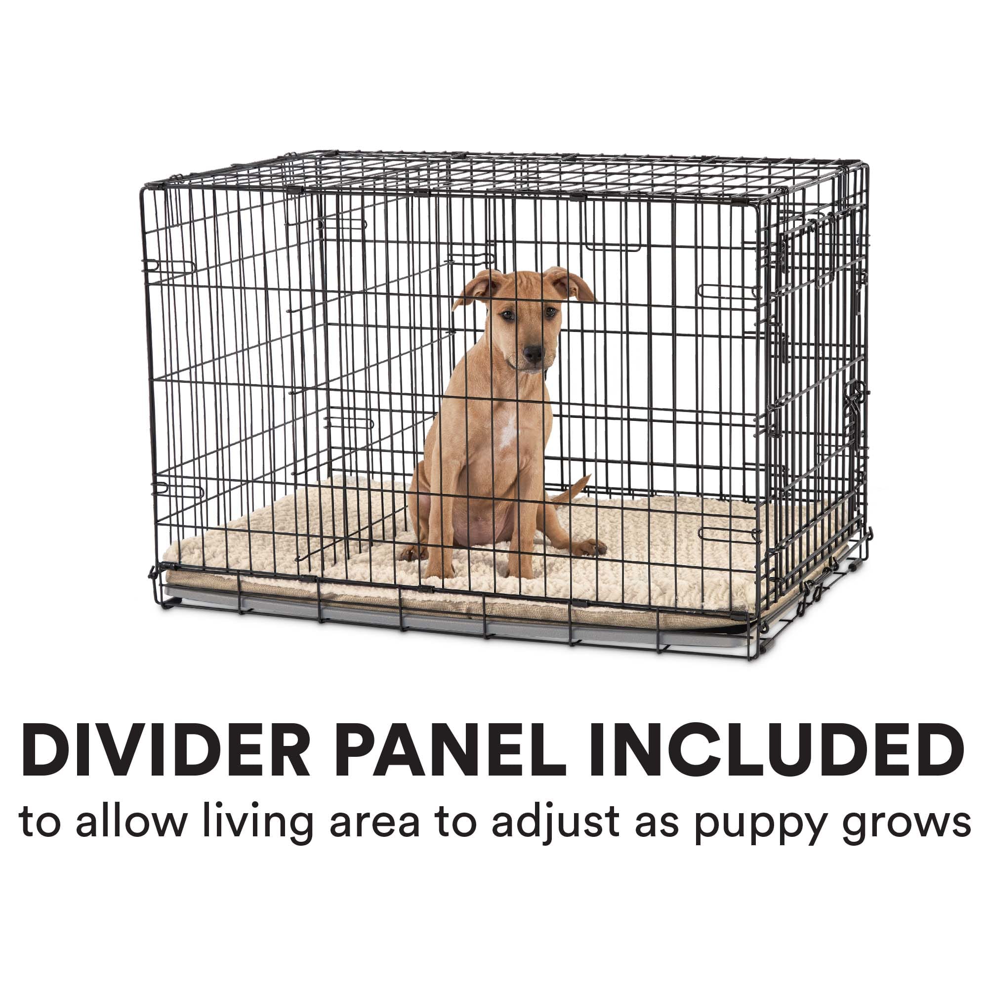 Top Paw® Double Door Folding Wire Dog Crate With Divider Panel vlr.eng.br