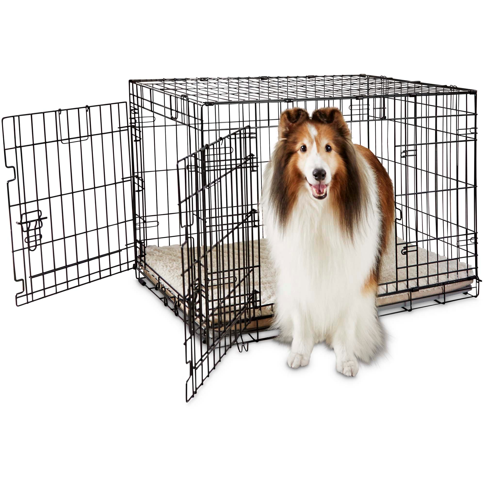 Dog Crates Guide