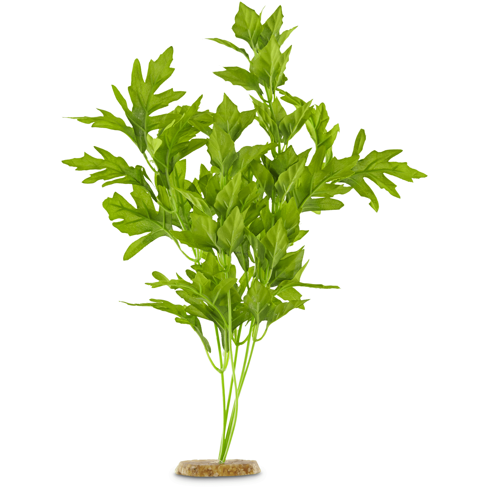 Imagitarium Silk Forest Vine Aquarium Plant for Saltwater Fish