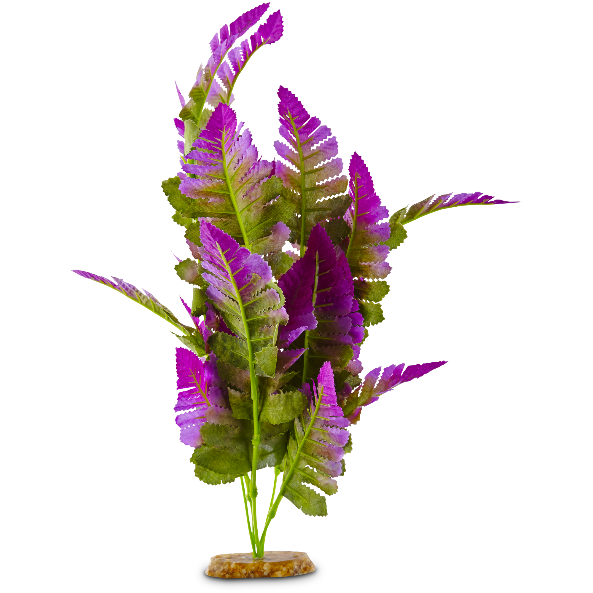 Silk plants in aquarium