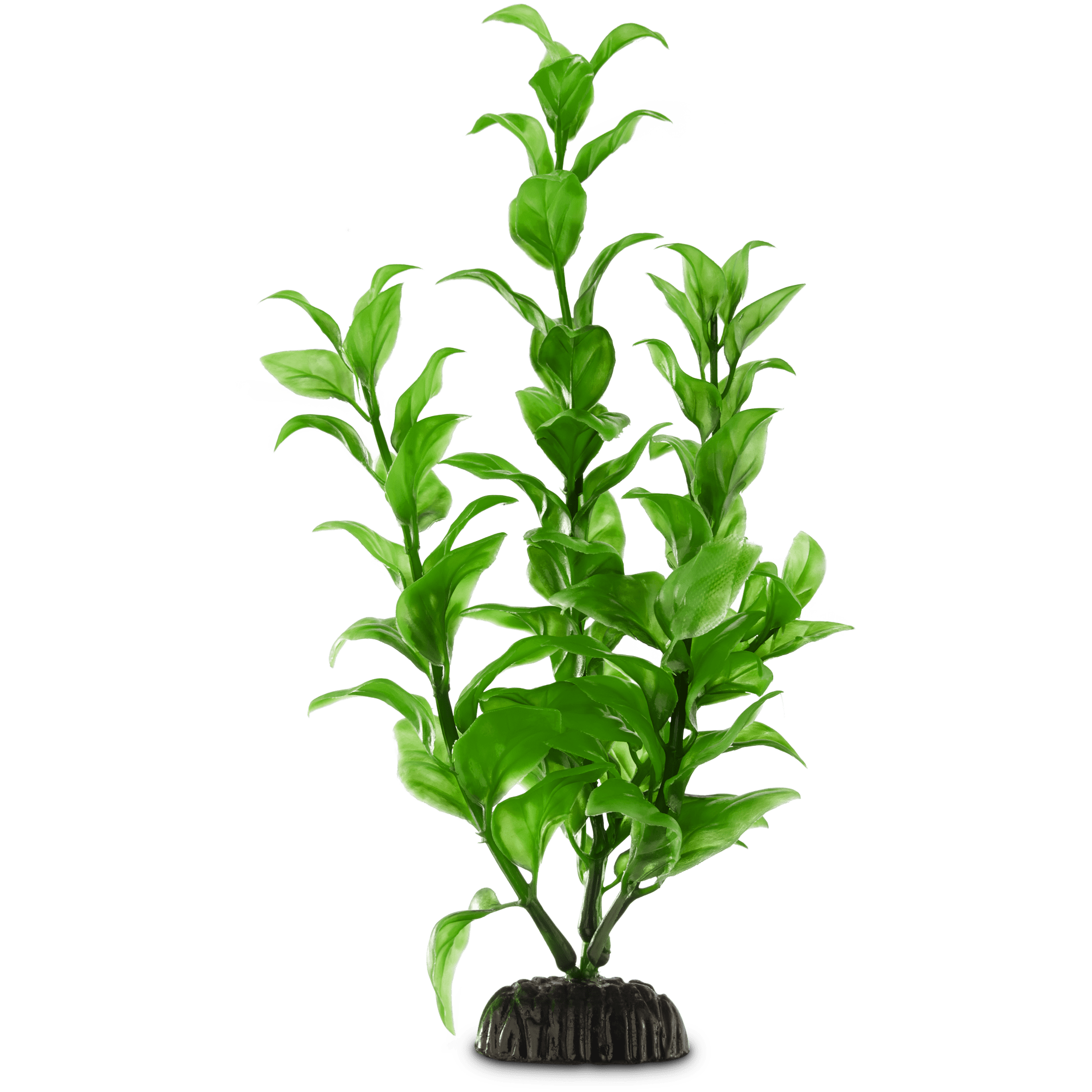 Imagitarium Ambulia Midground Aquarium Plant | Petco