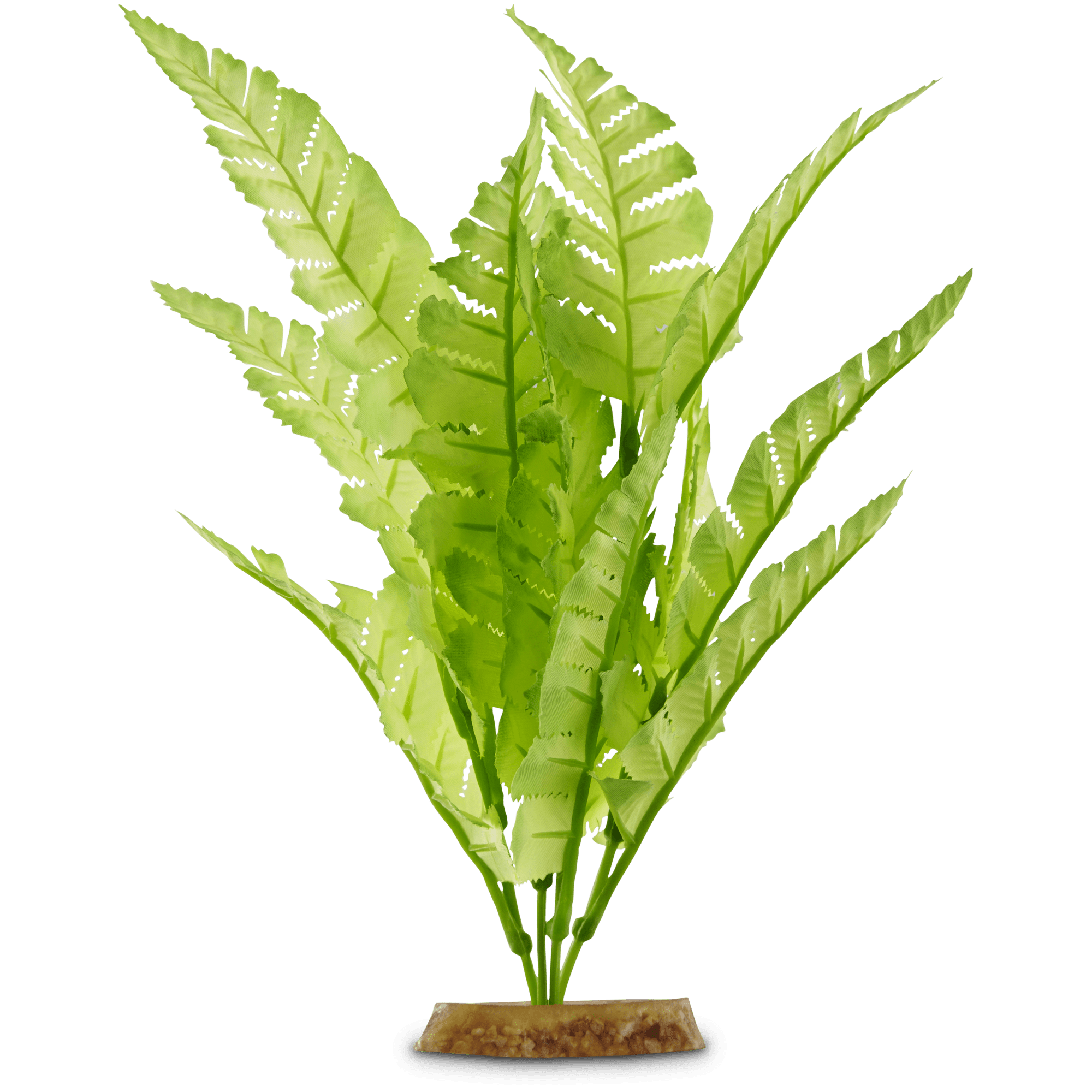 Small silk sale aquarium plants