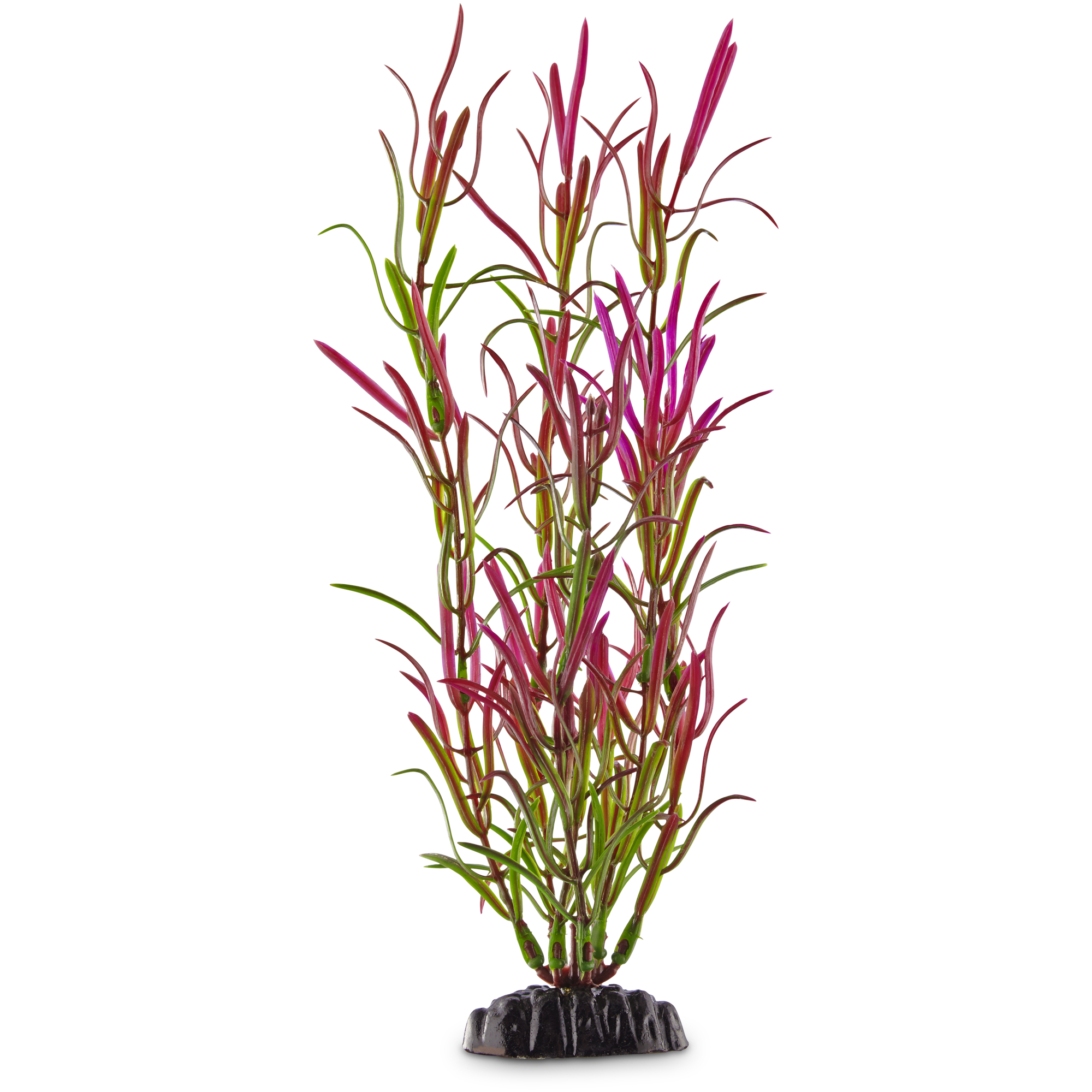 Imagitarium Purple Green Background Aquarium Plant Petco