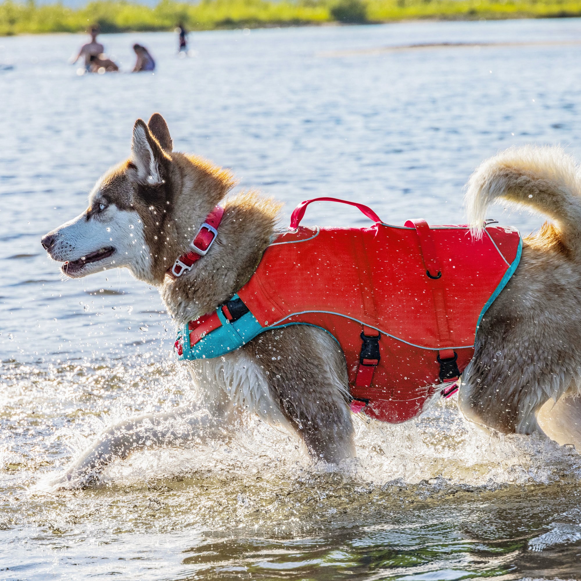 Kurgo Surf N Turf Red Life Jacket for Dogs X Small Petco