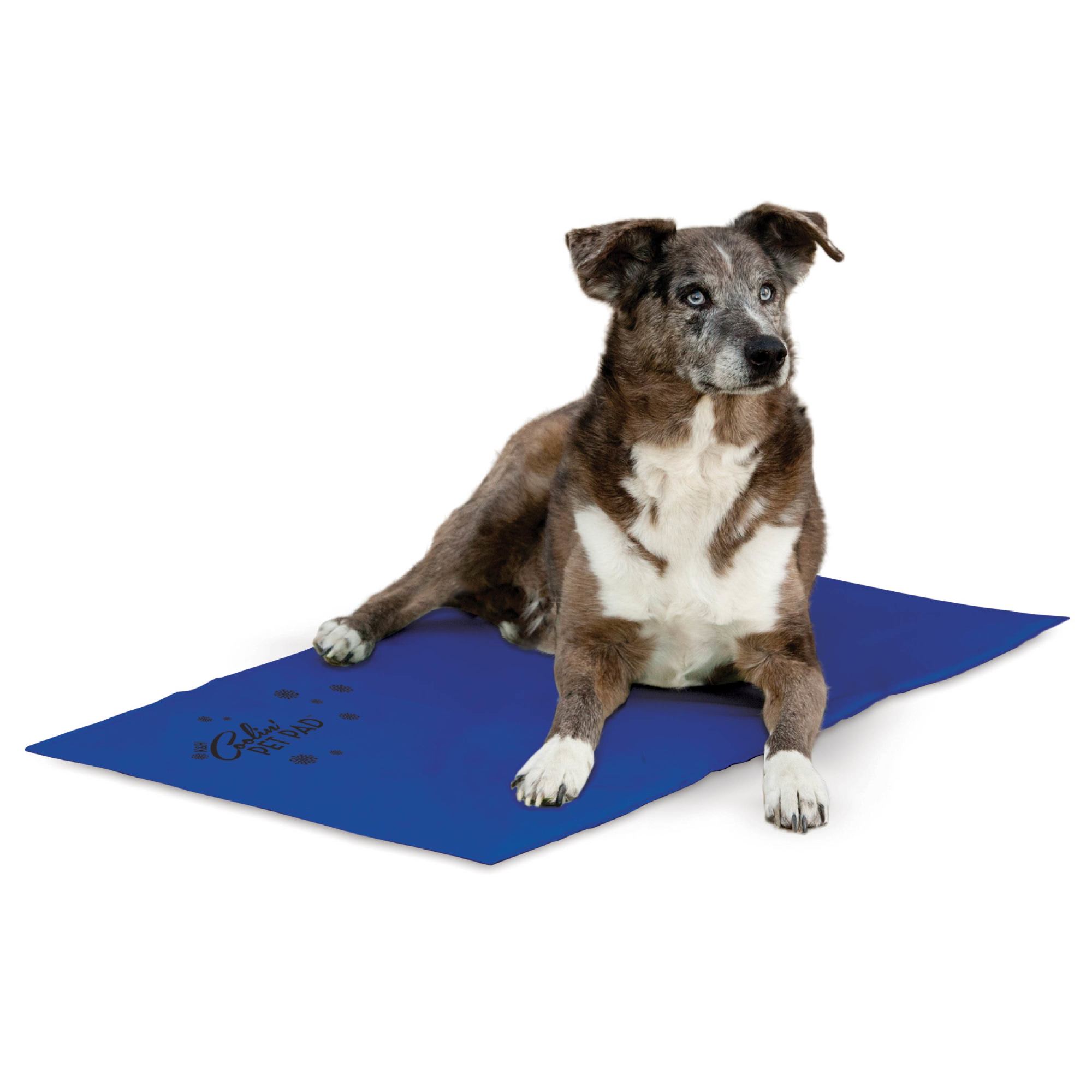 Tesco dog 2025 cooling mat