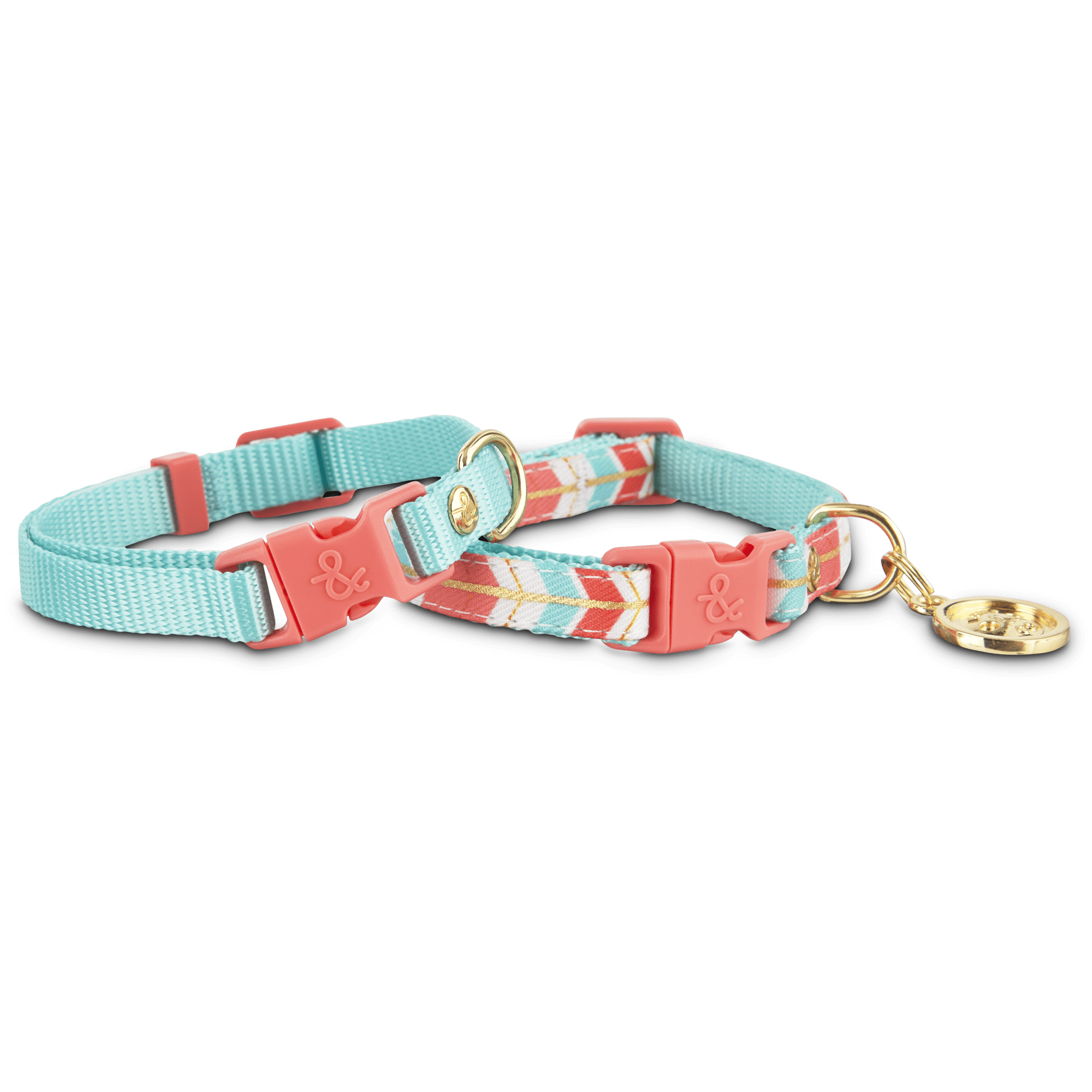 Mini deals dog collars