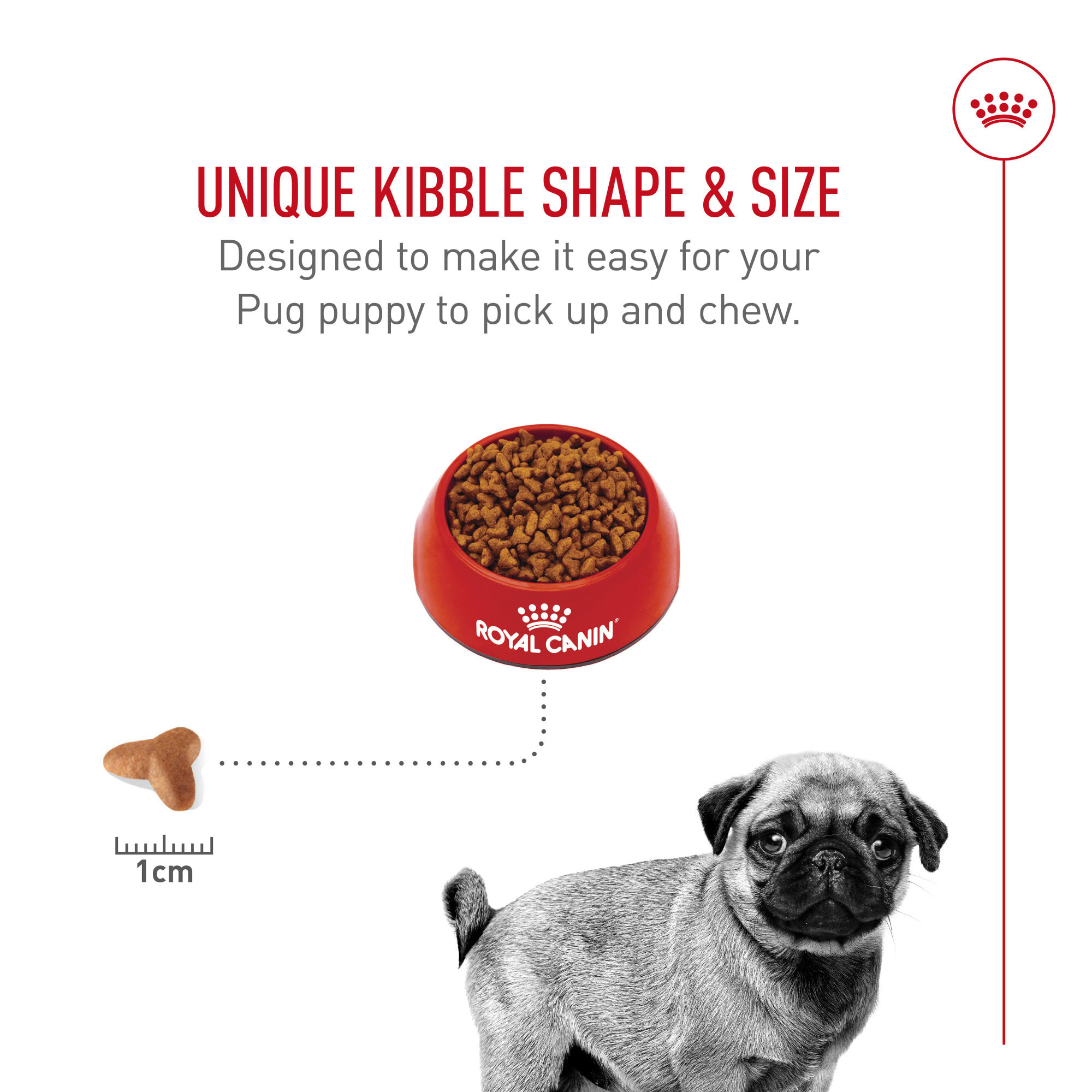 Royal Canin Pug Puppy Dry Dog Food, Petco