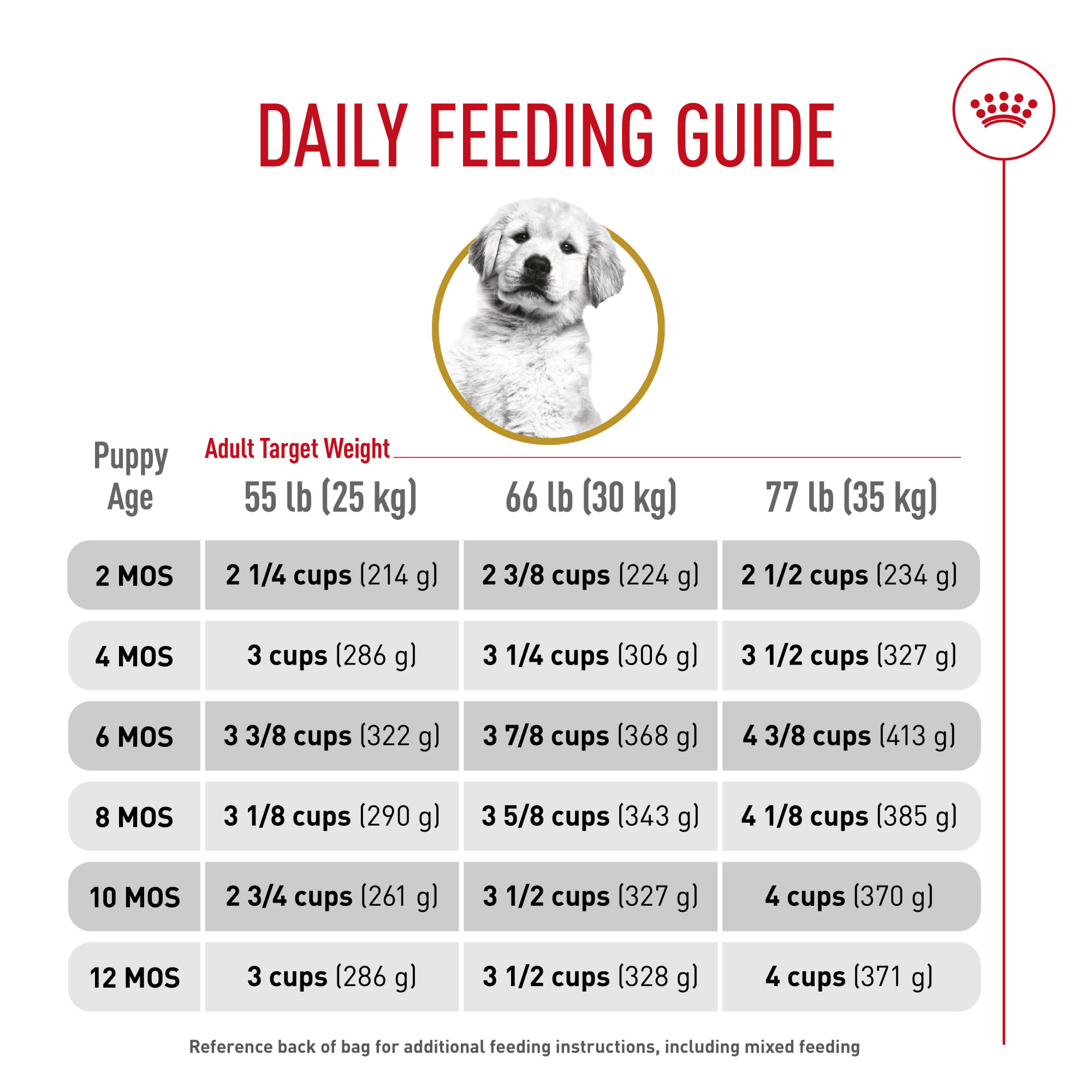 Royal Canin Breed Health Nutrition Golden Retriever Puppy Dry Dog