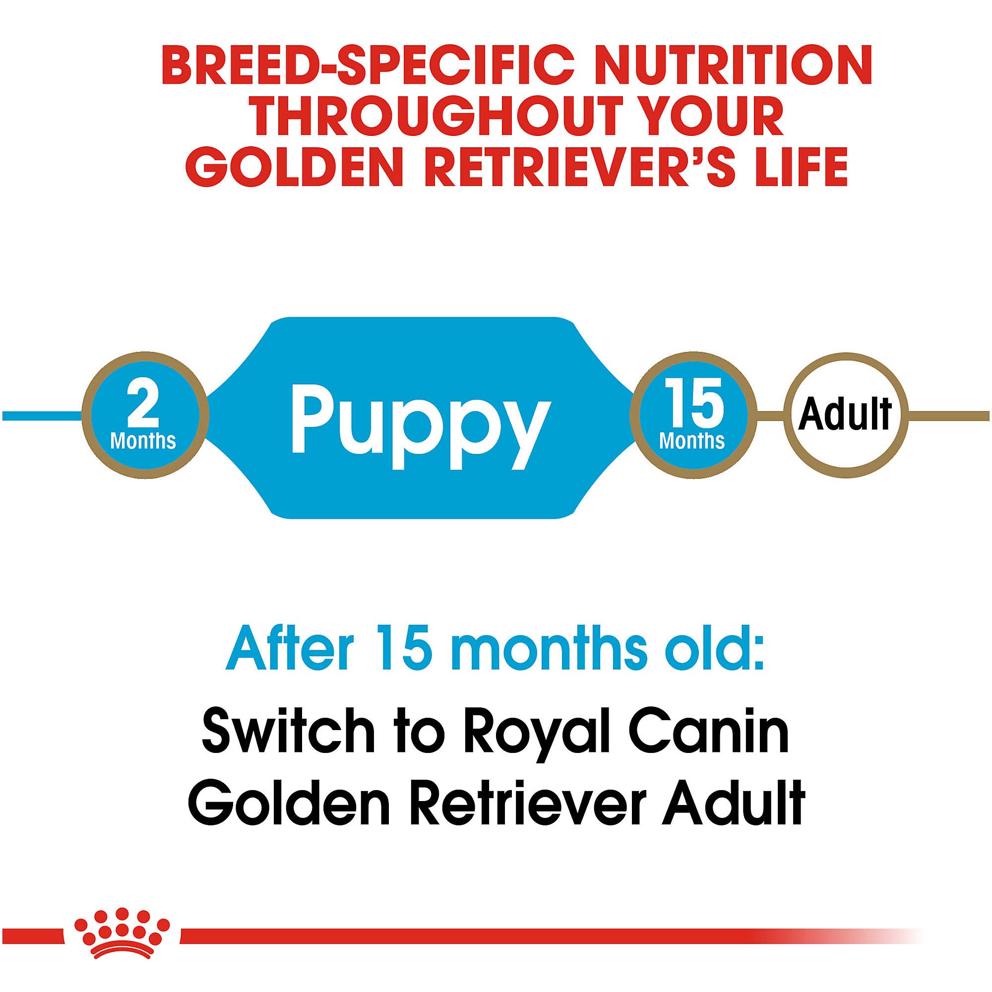 Royal Canin Golden Retriever Puppy Dry Dog Food 30 lbs