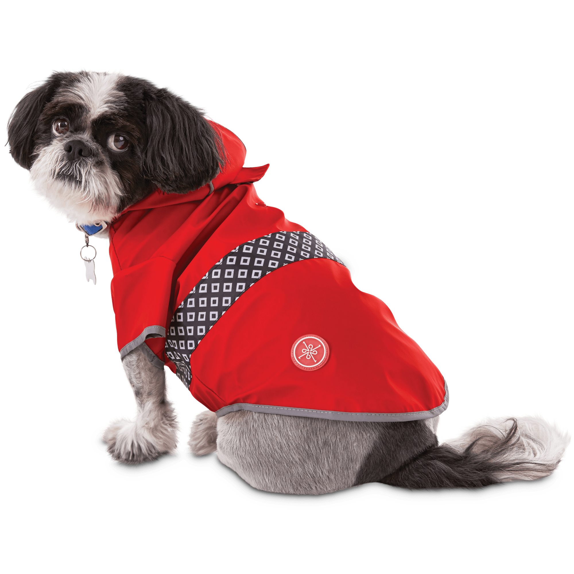 shih tzu raincoat