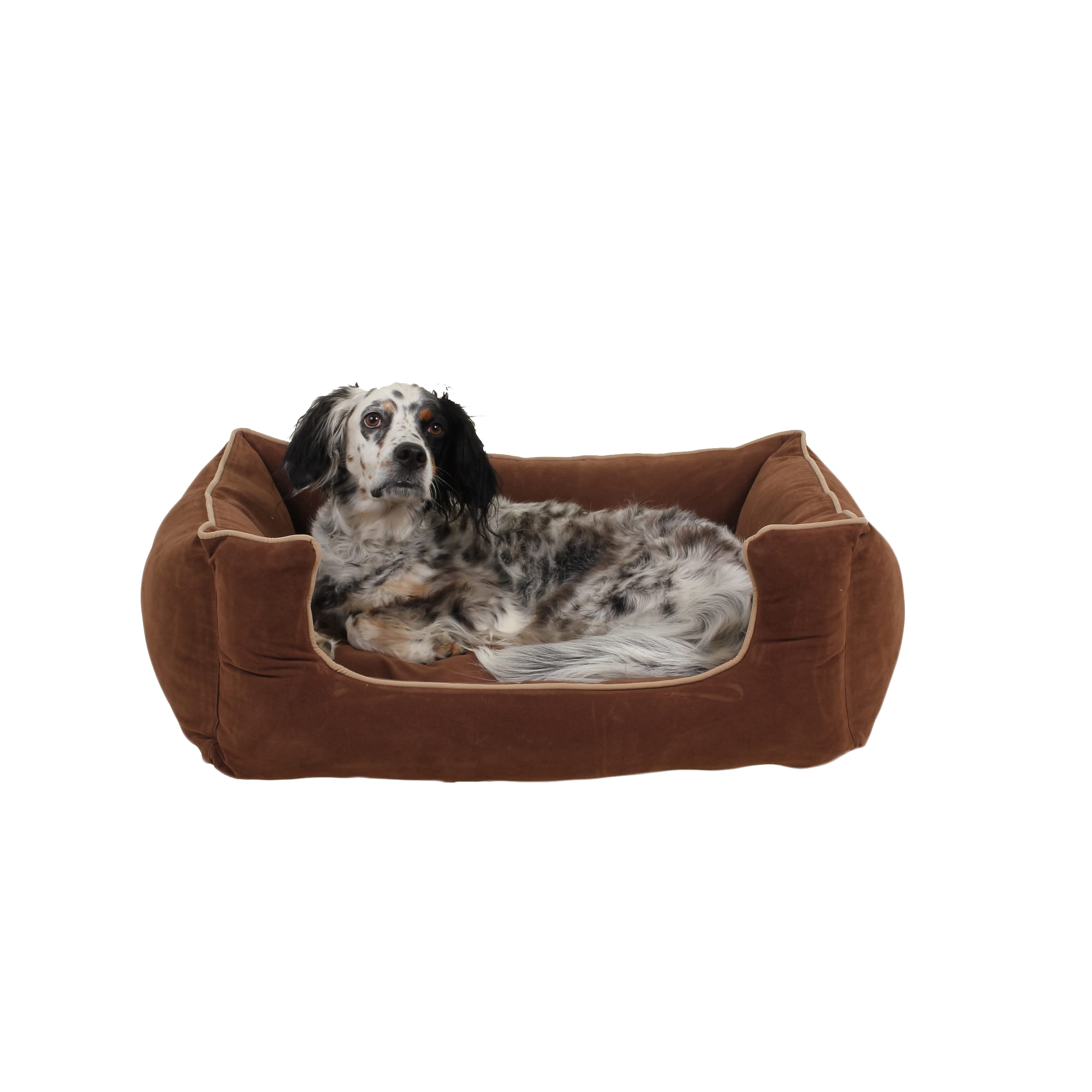 microfiber dog bed