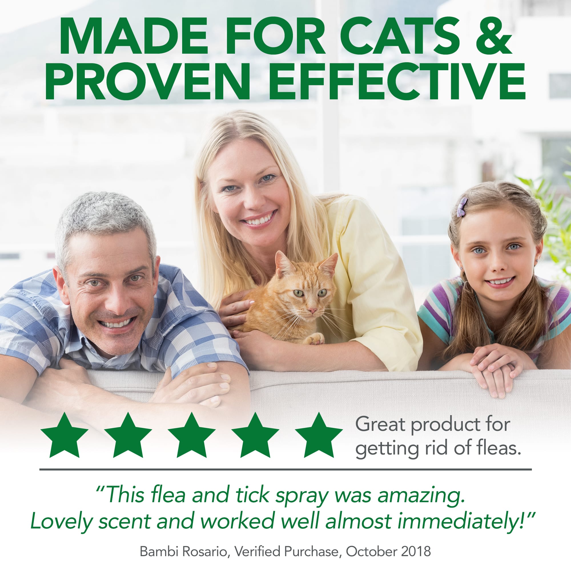 Flea and tick shop home spray for cats