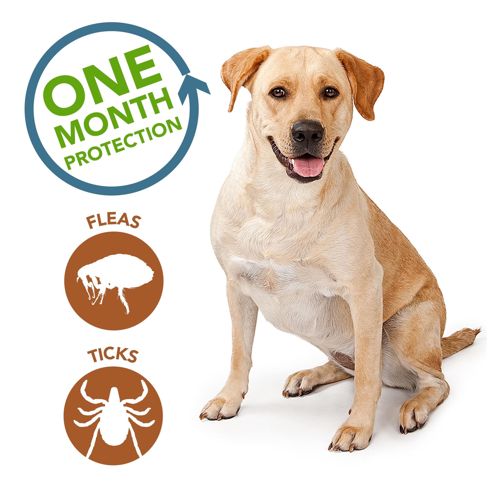 Vet's best flea outlet and tick spot on