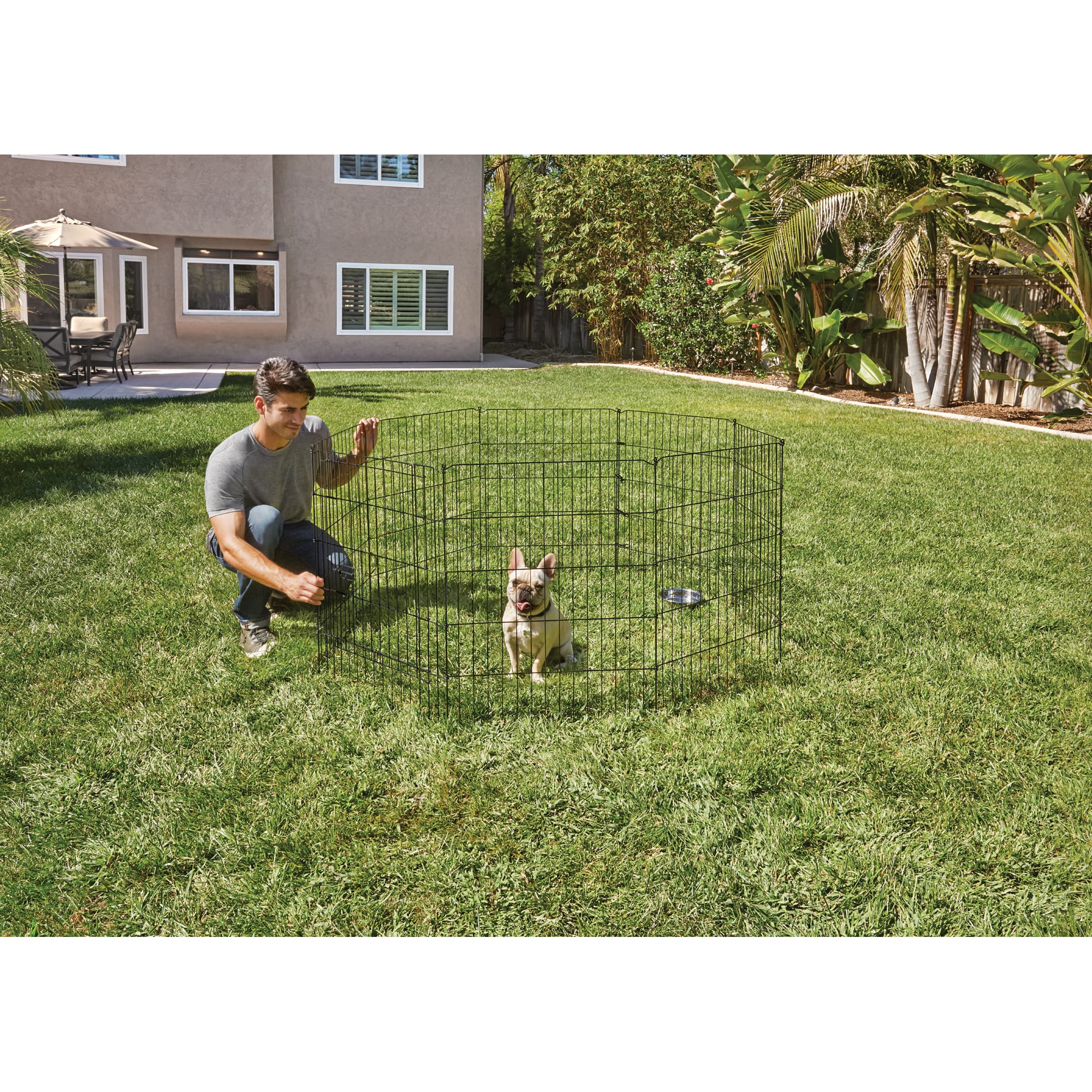 Unleashed hotsell exercise pen