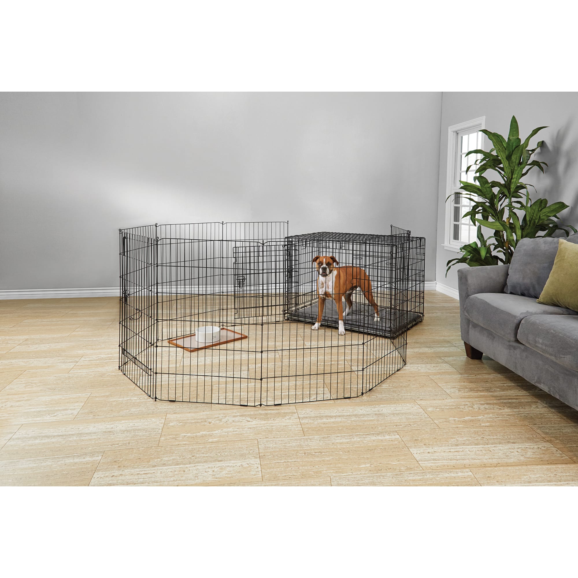 Petco dog pen best sale