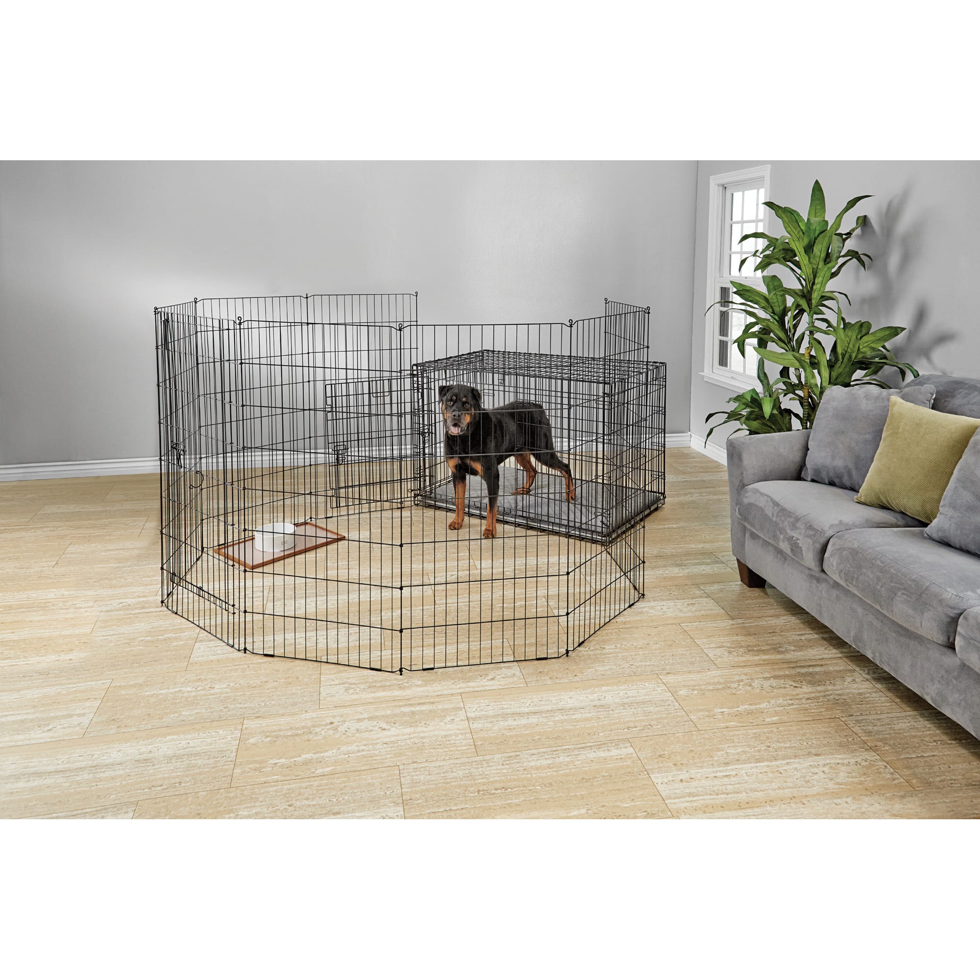 All living hotsell things exercise pen