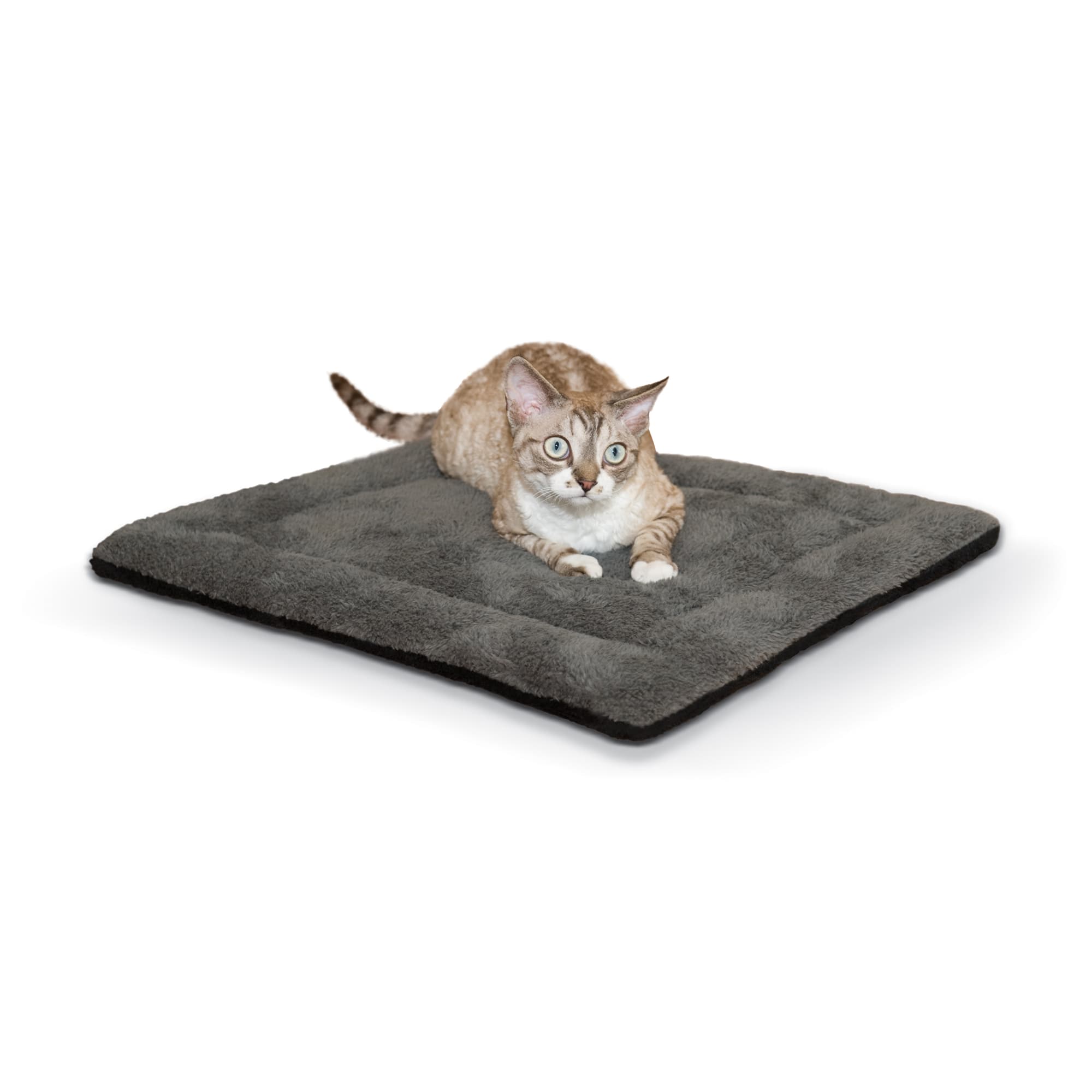 Heated cat bed petco best sale