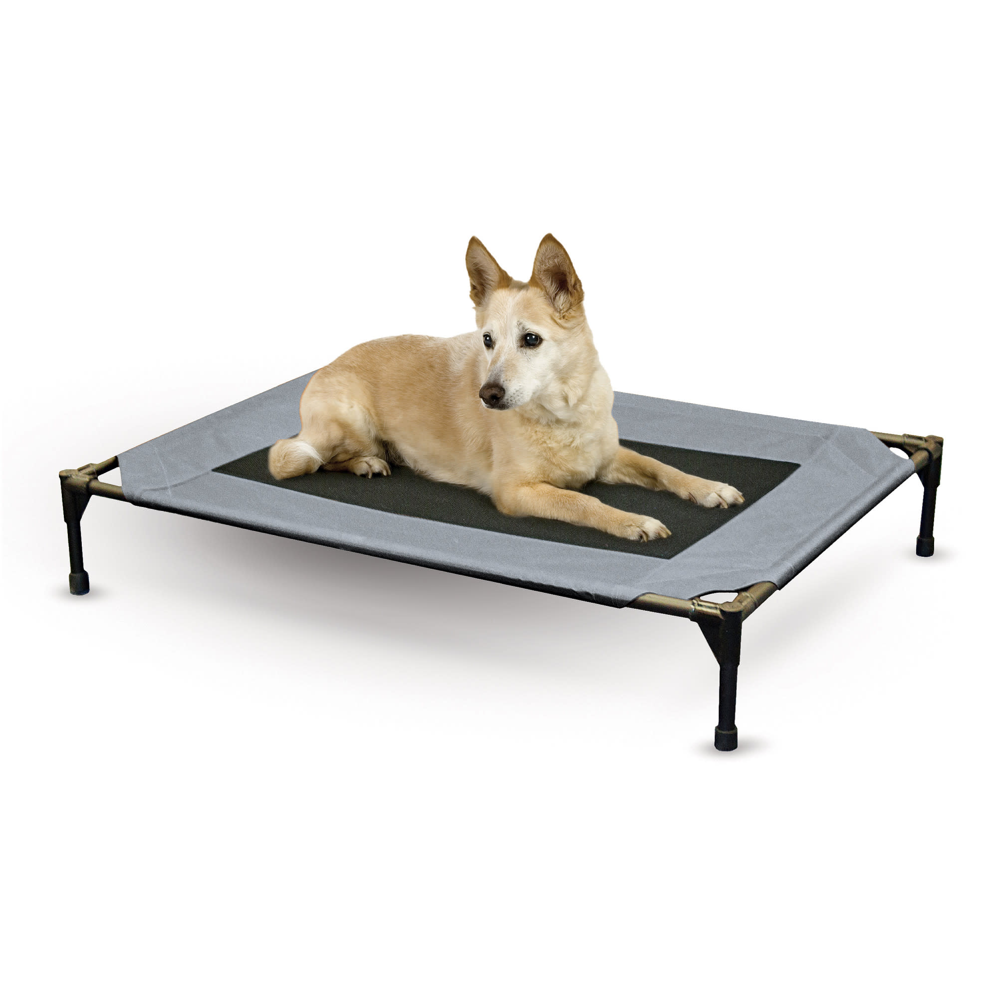 K&H Original Pet Cot Elevated Pet Bed, 30" L X 42" W X 7" H, Grey Petco