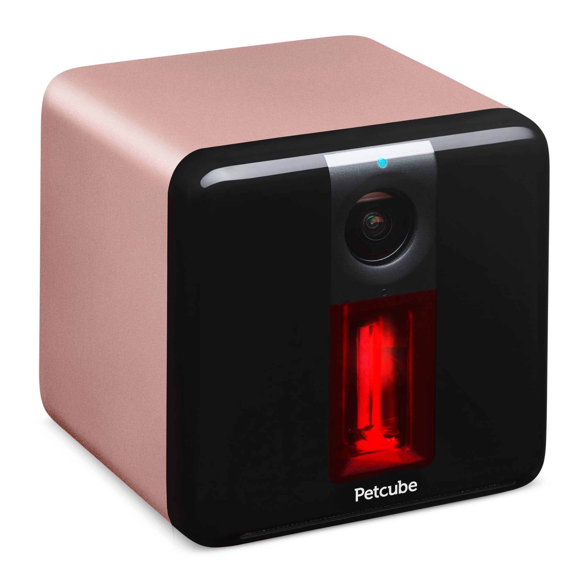 what is 3 years in cat years