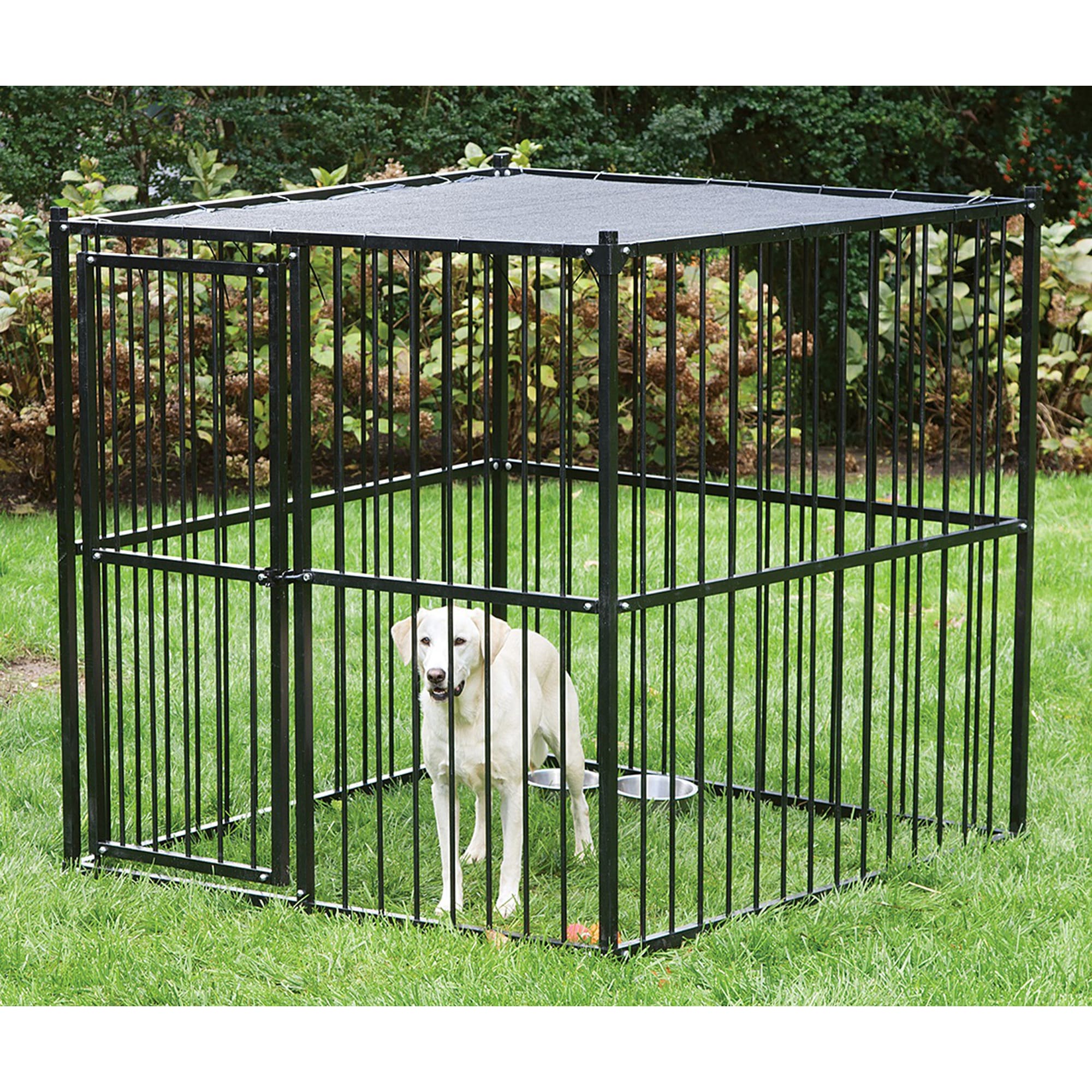 heavy duty dog cages pitbulls