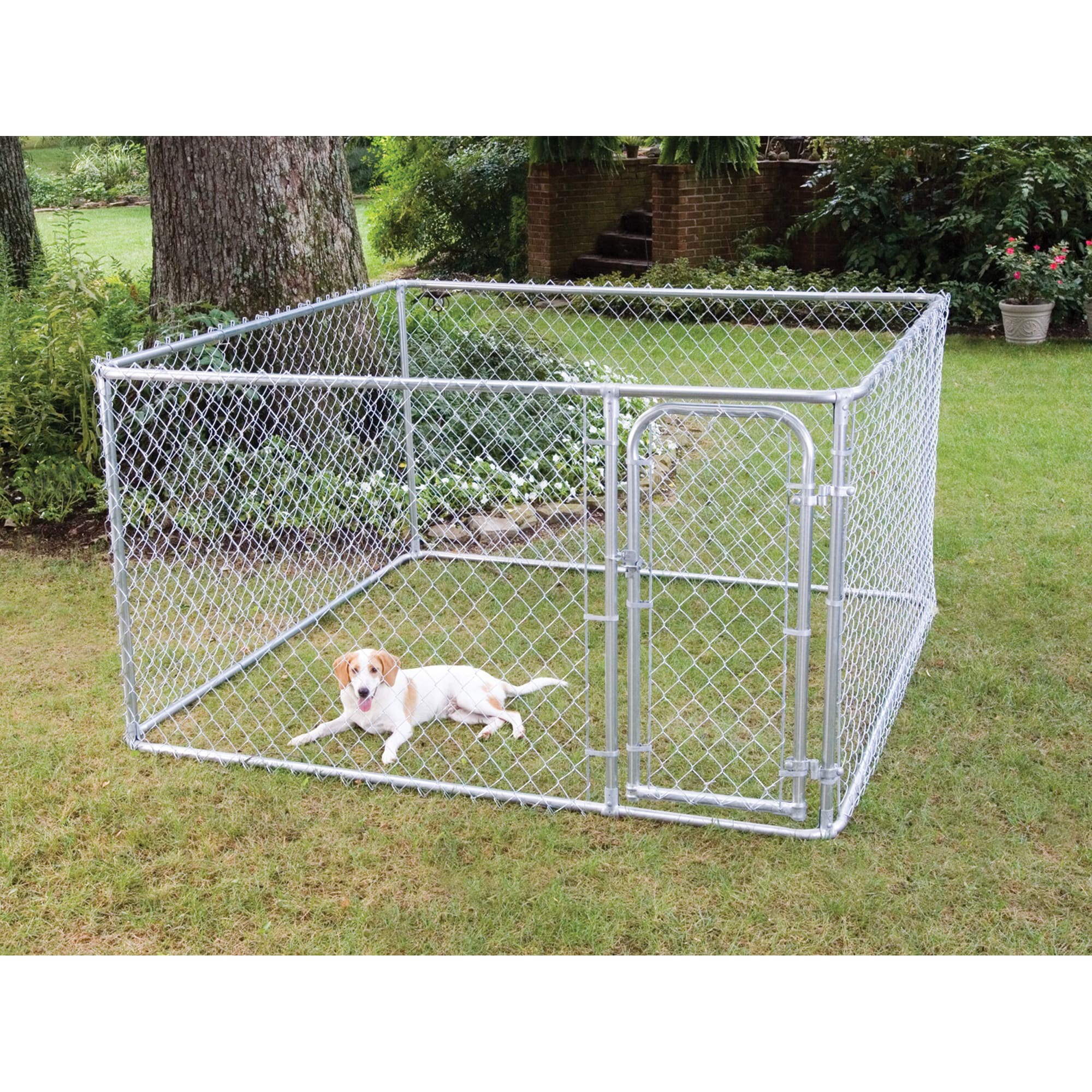 chain link dog kennel