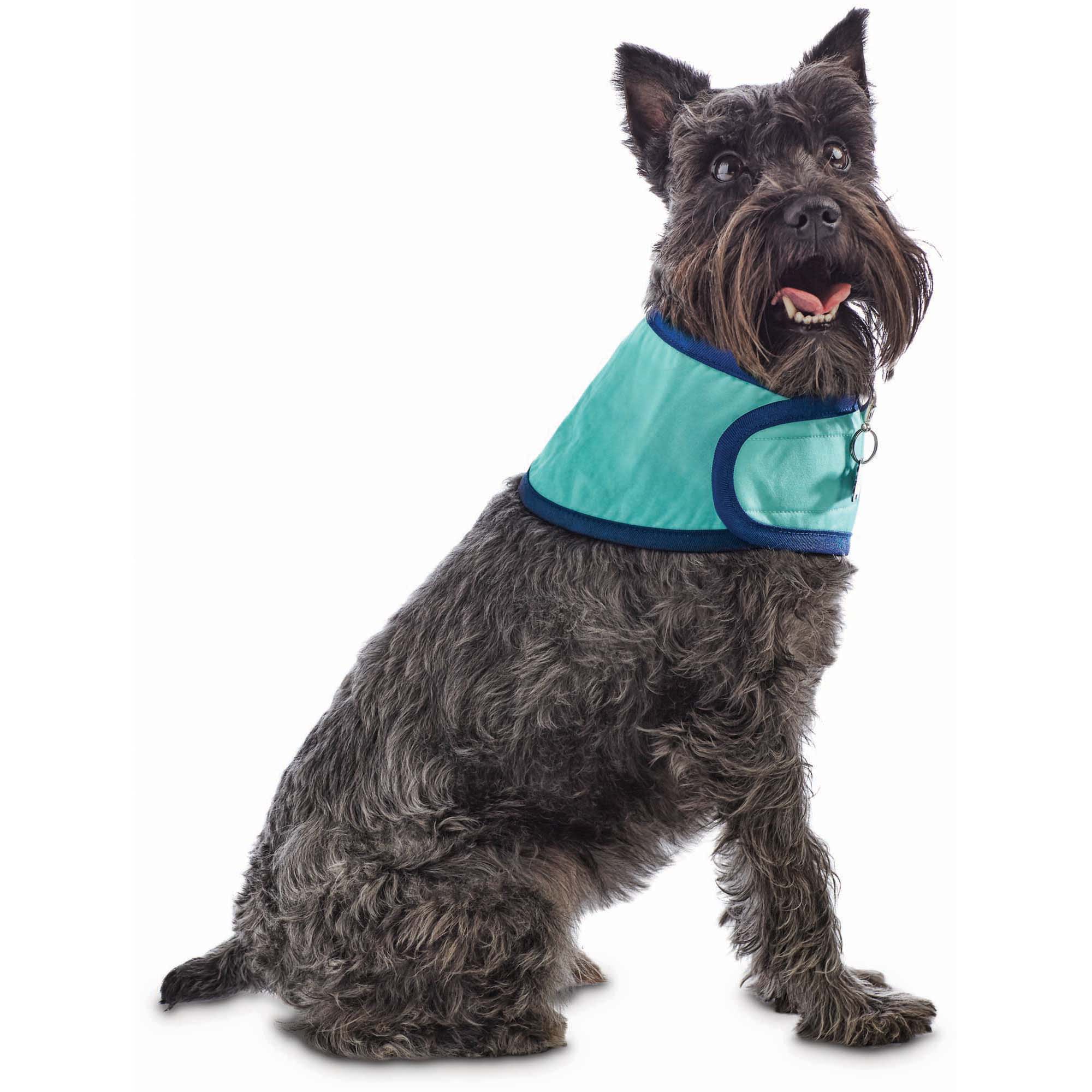 best dog cooling bandana