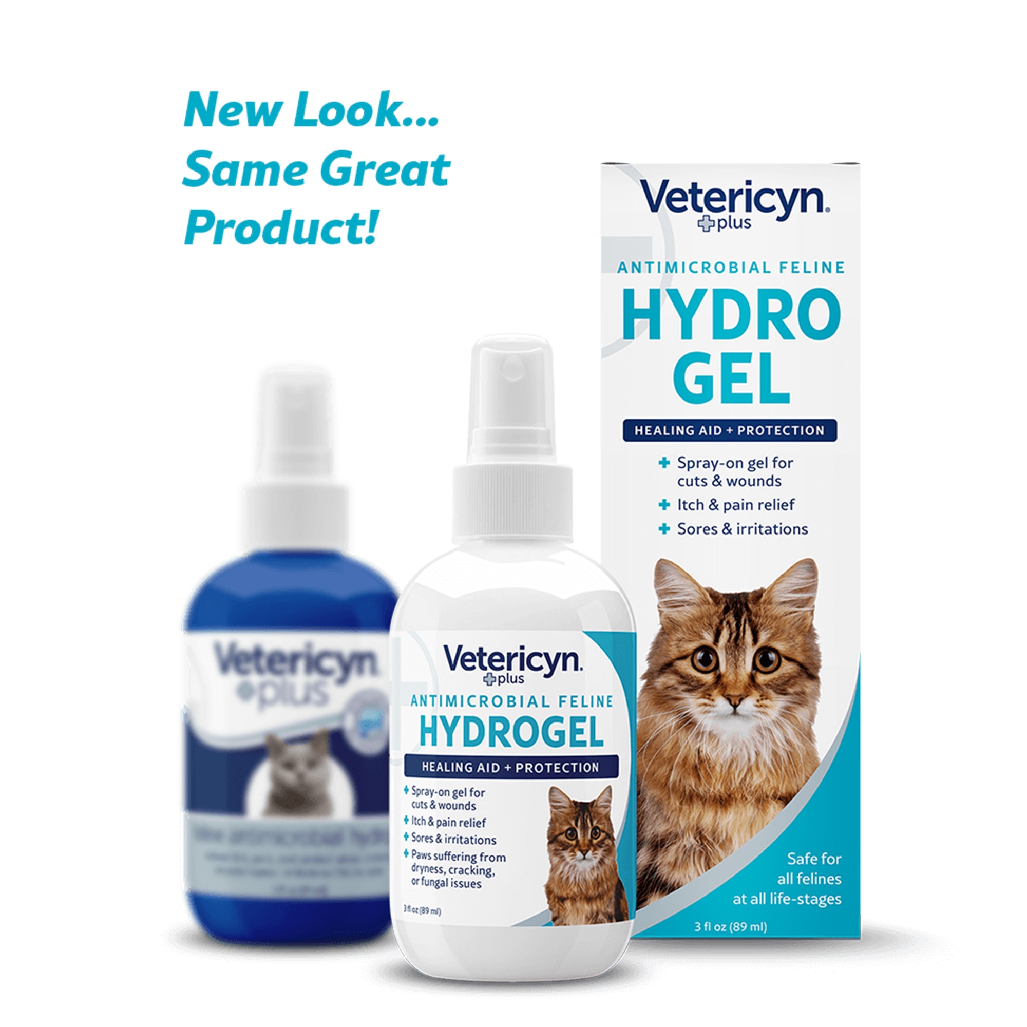 Petco ringworm 2025 treatment for cats