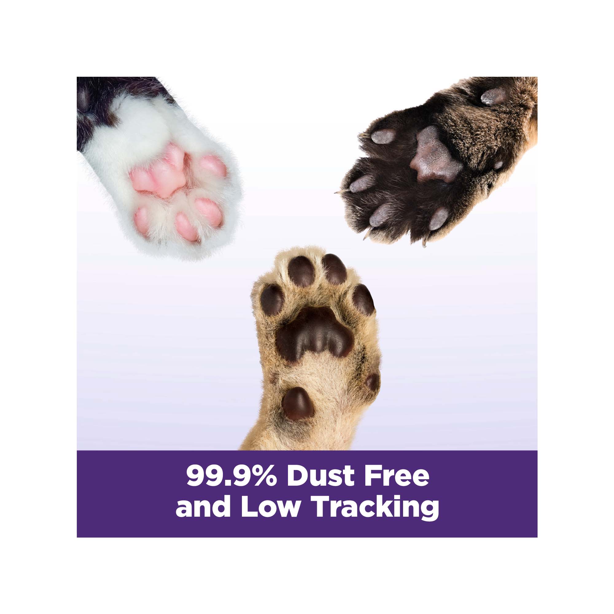 Clump and seal outlet slide cat litter