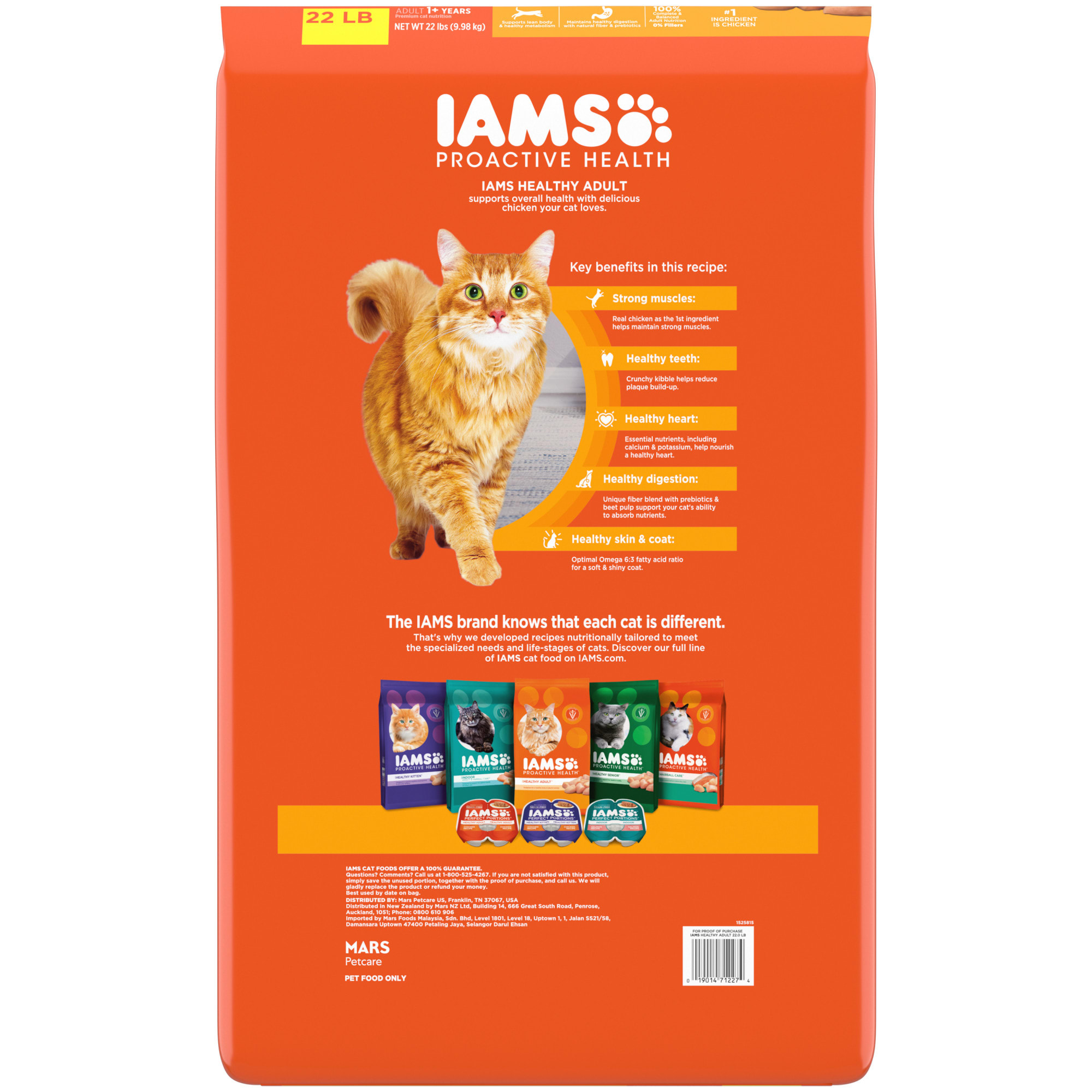 Iams kitten food clearance ingredients