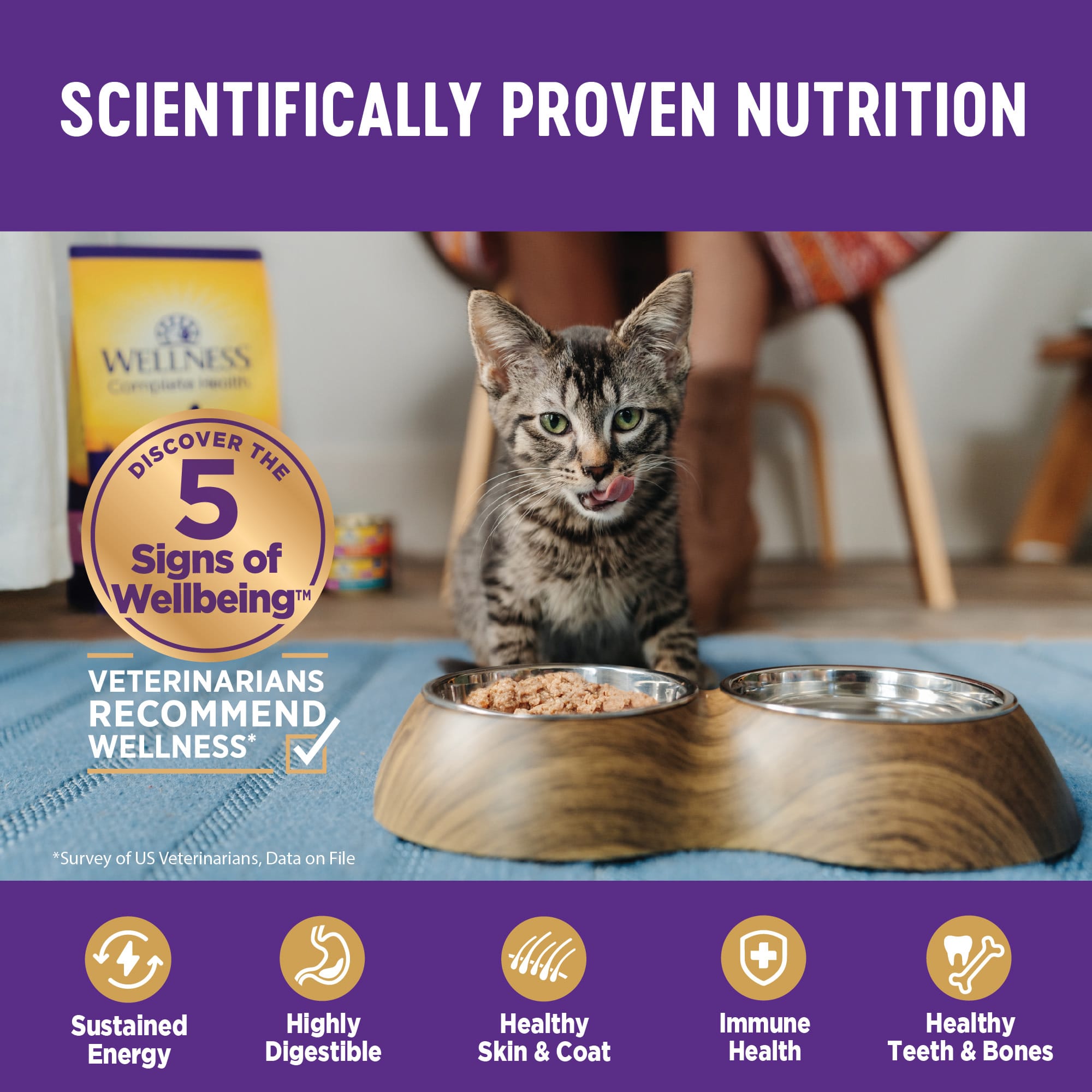 Wellness Natural Grain Free Minced Salmon Dinner Wet Cat Food 3