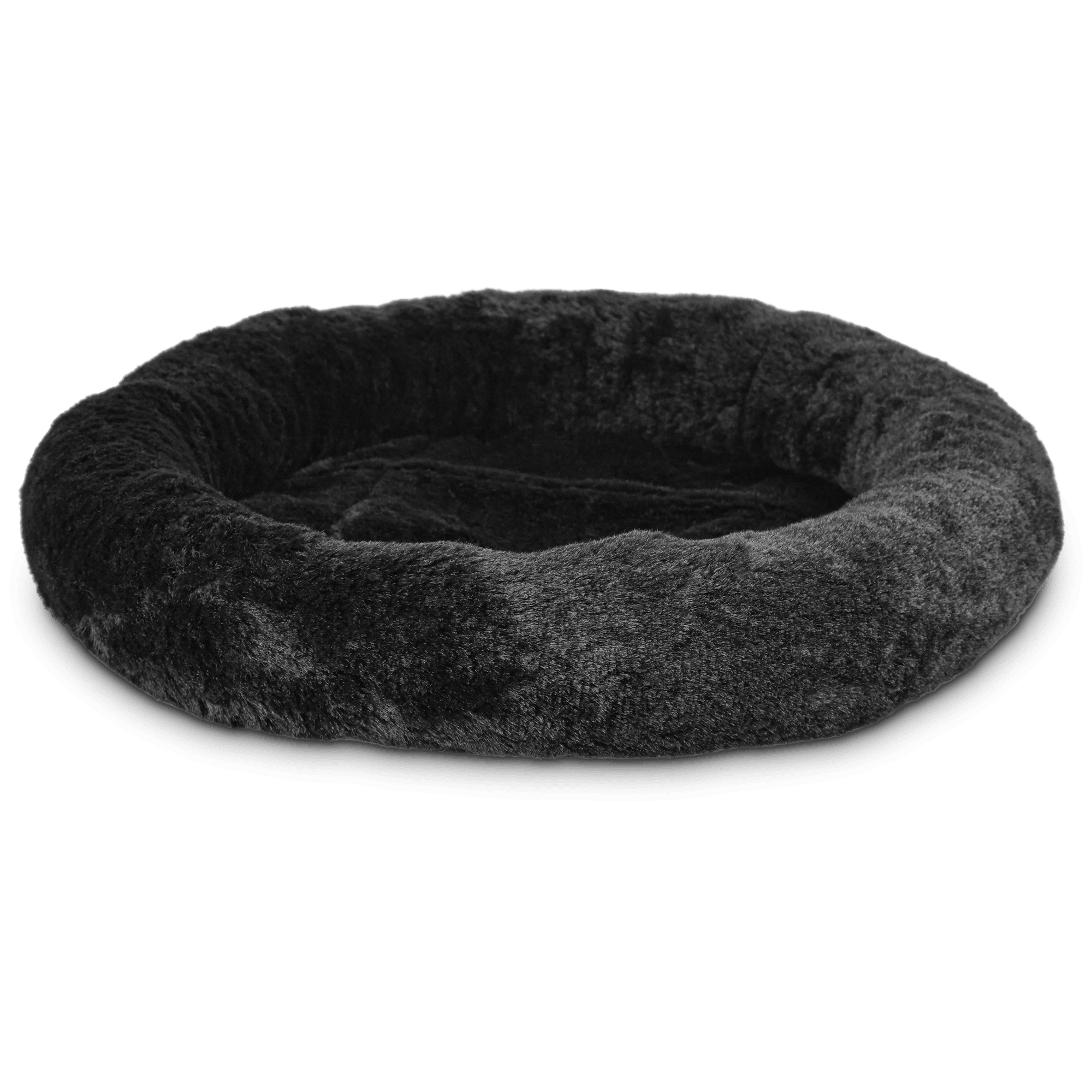 cheap kitten beds