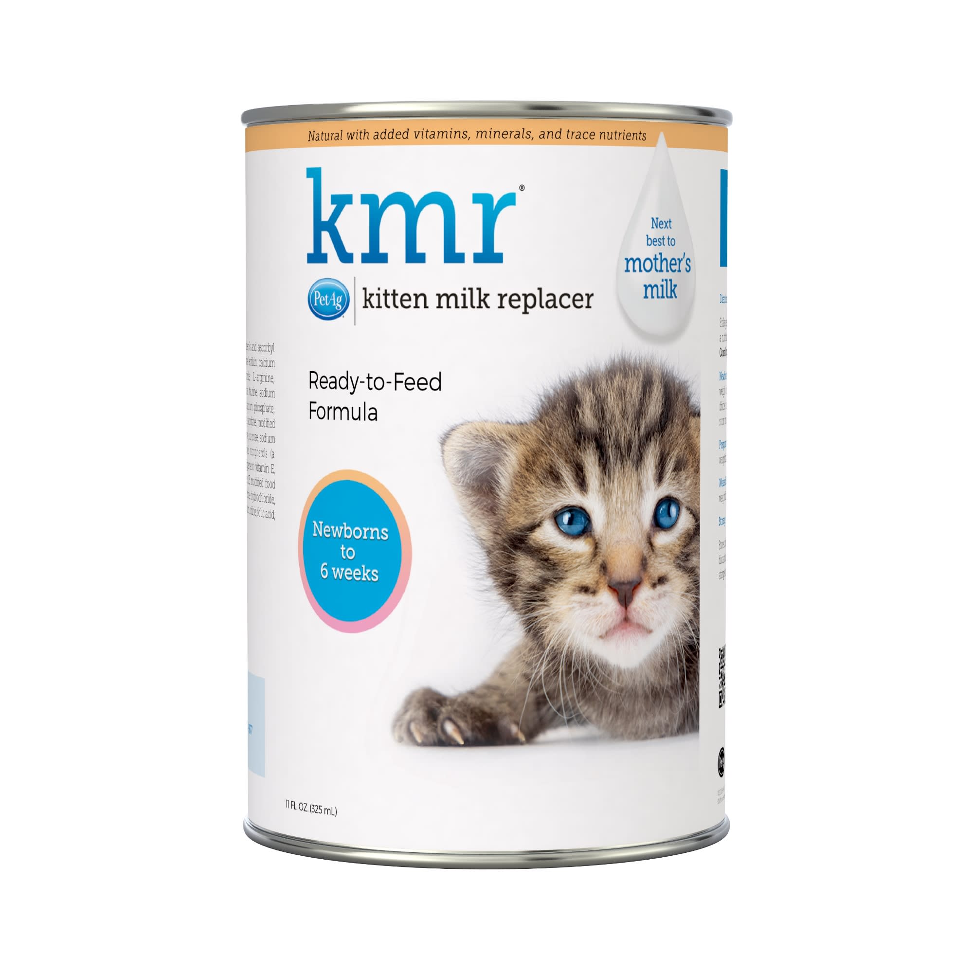 What kind of milk 2025 do you feed kittens