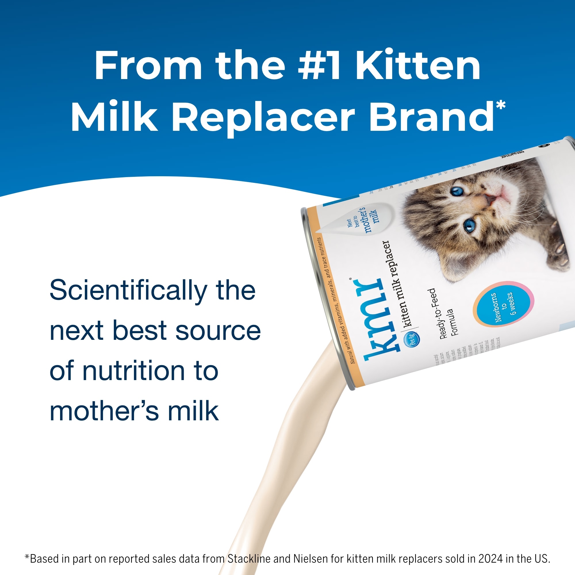 Gnc premium milk replacer kitten sale