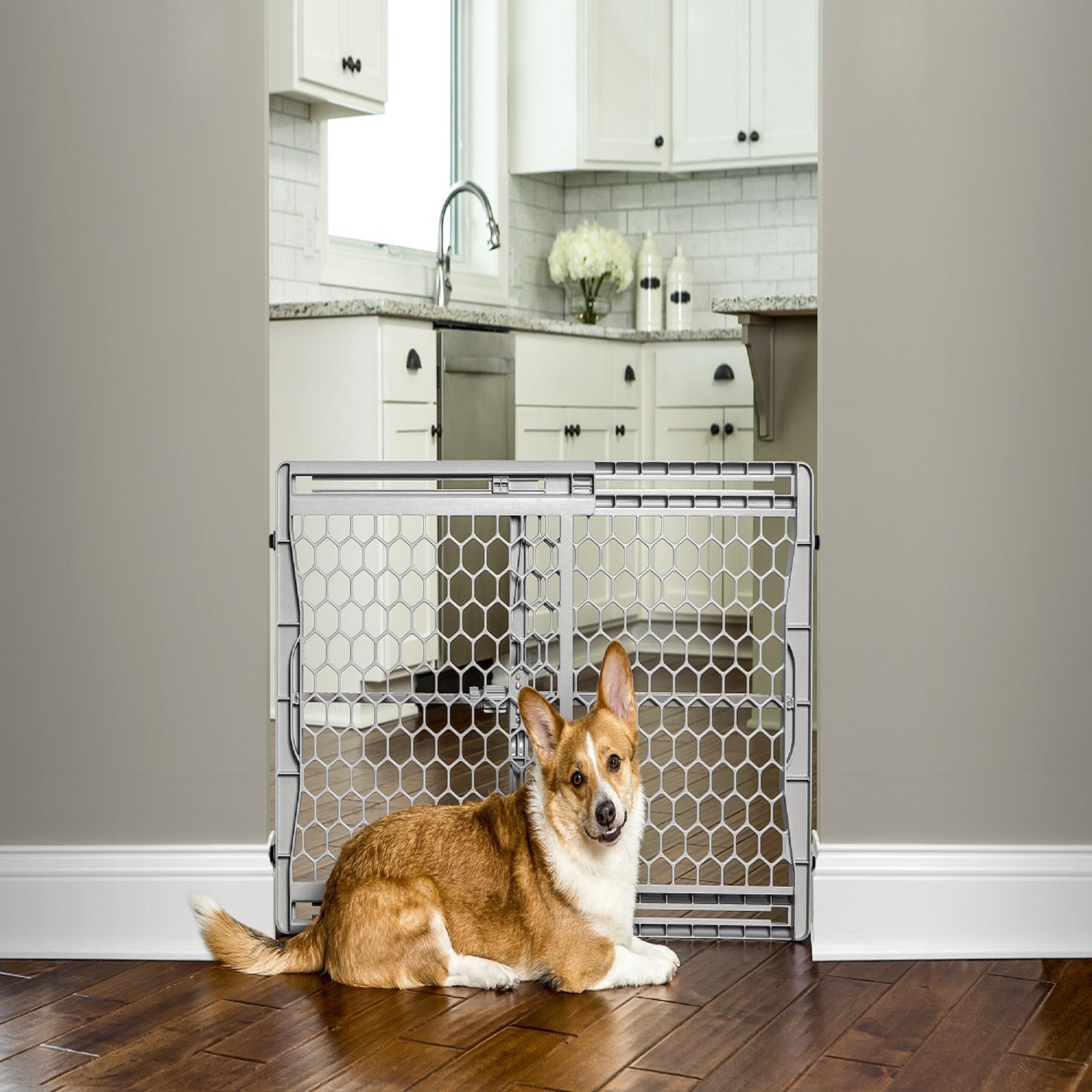 Carlson pet products pet hot sale gate