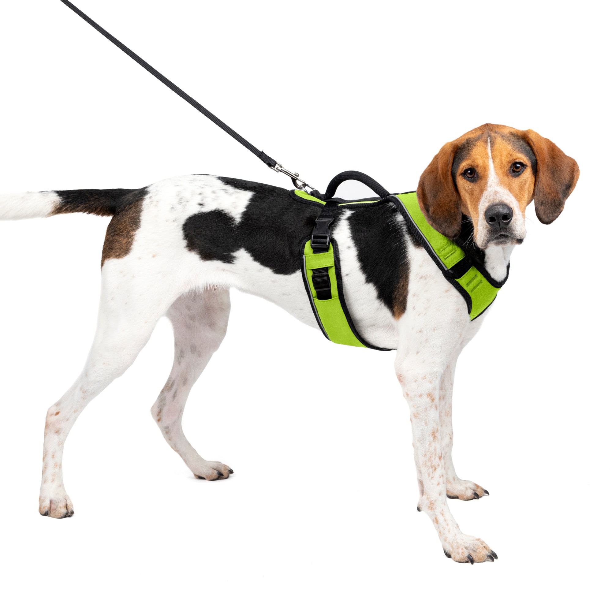 Freedom harness petco sale