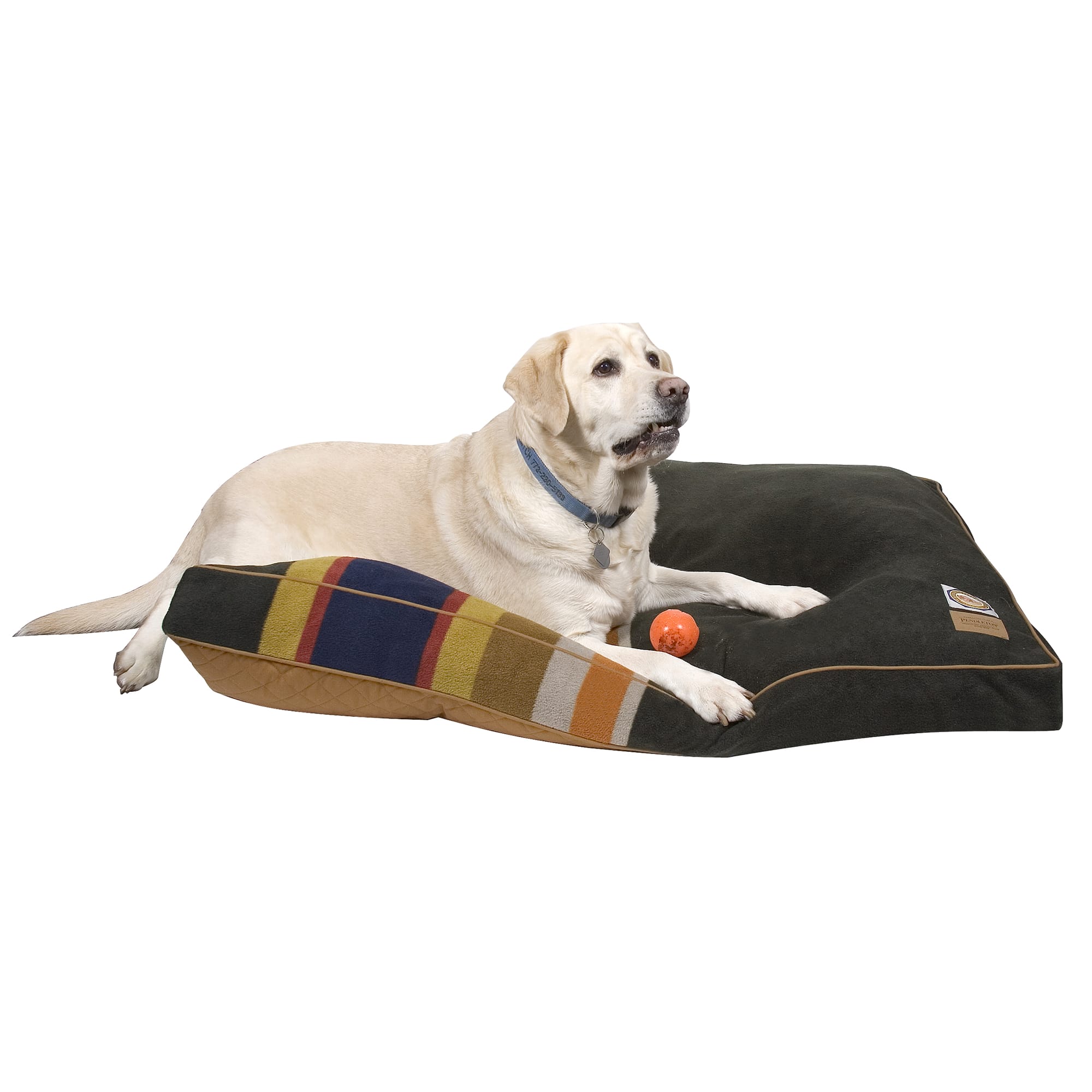 pendleton dog bed