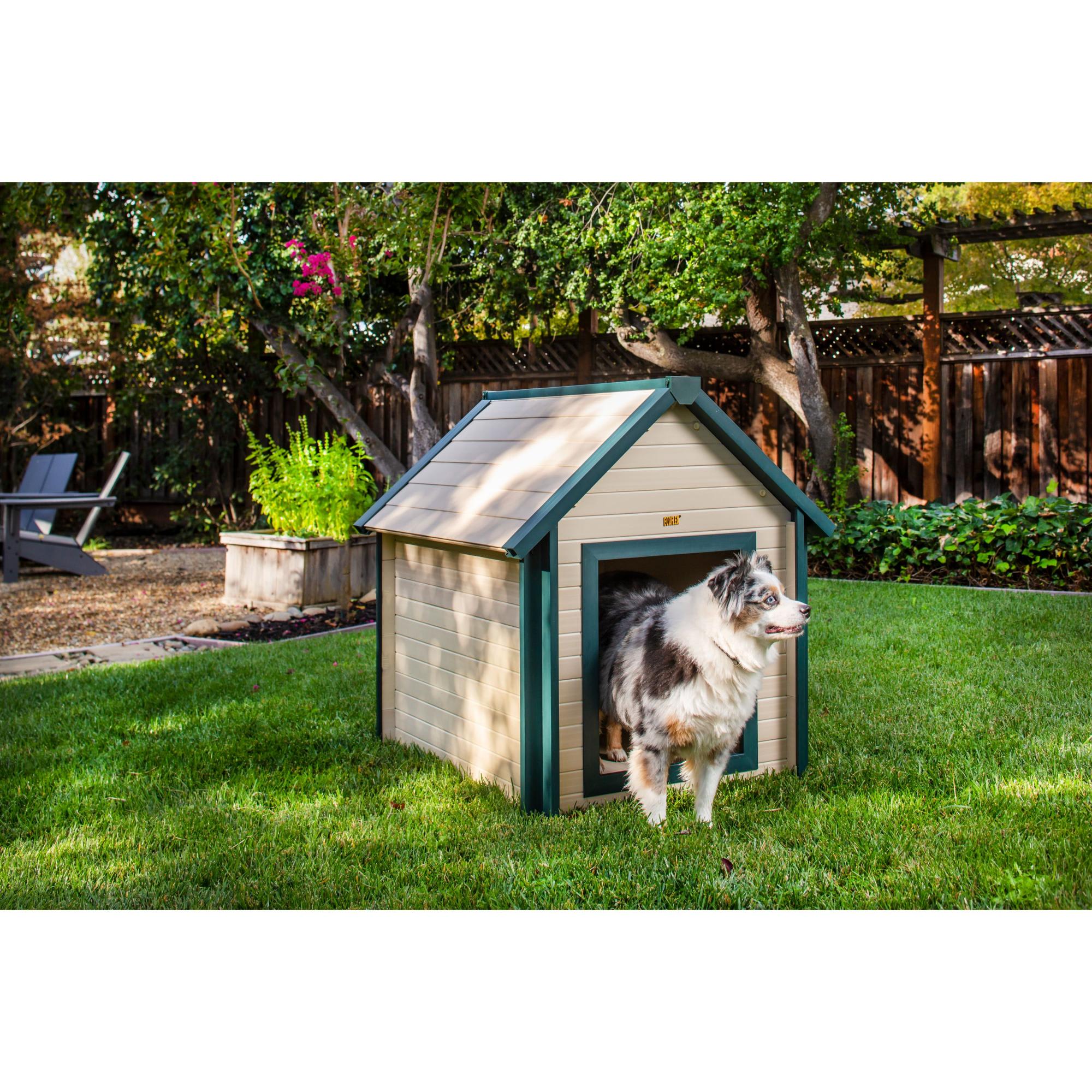 Where can i buy a dog house near outlet me