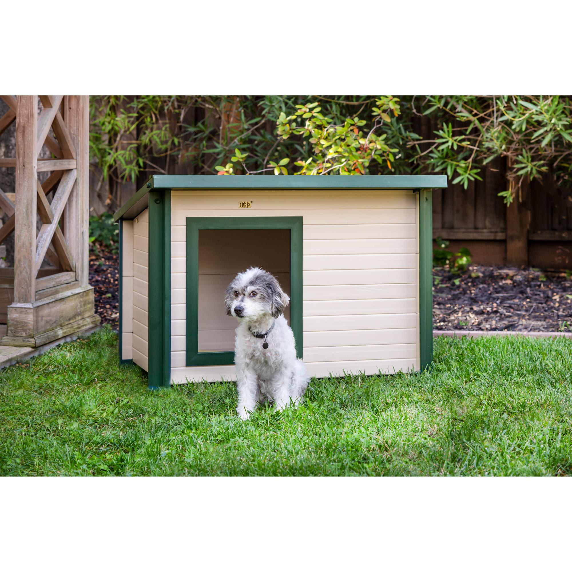 Petco 2024 dog house