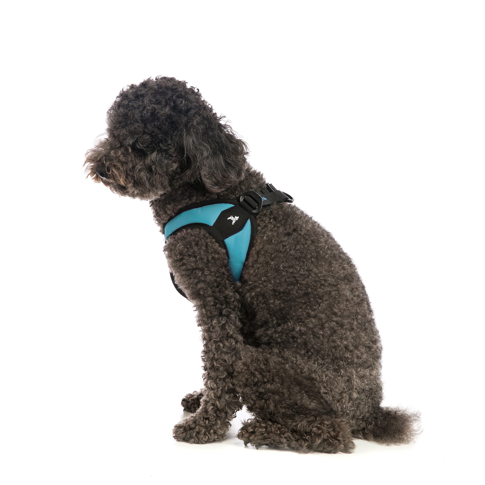 Best harness for hotsell small dogs that escape