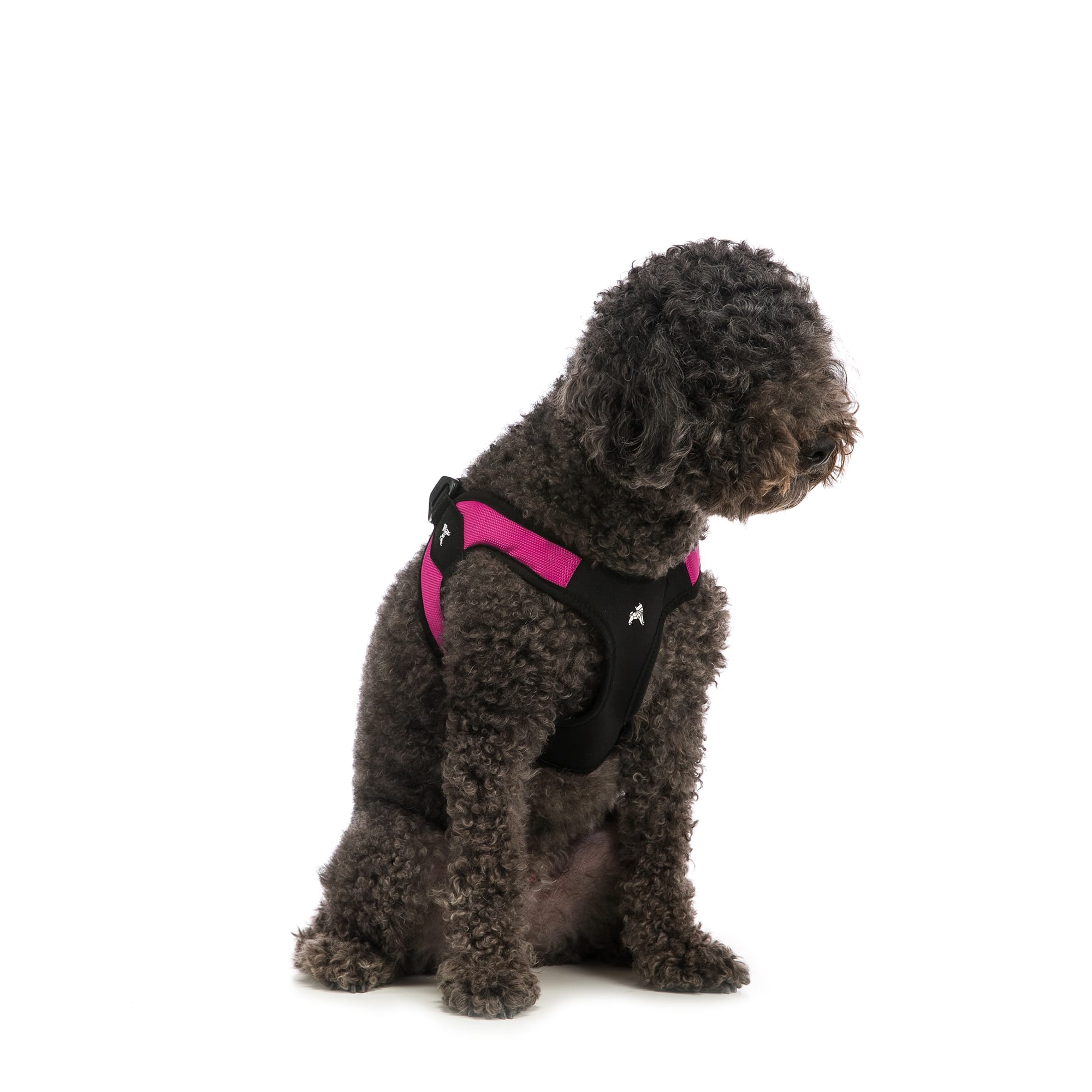 Gooby escape free easy fit harness hotsell