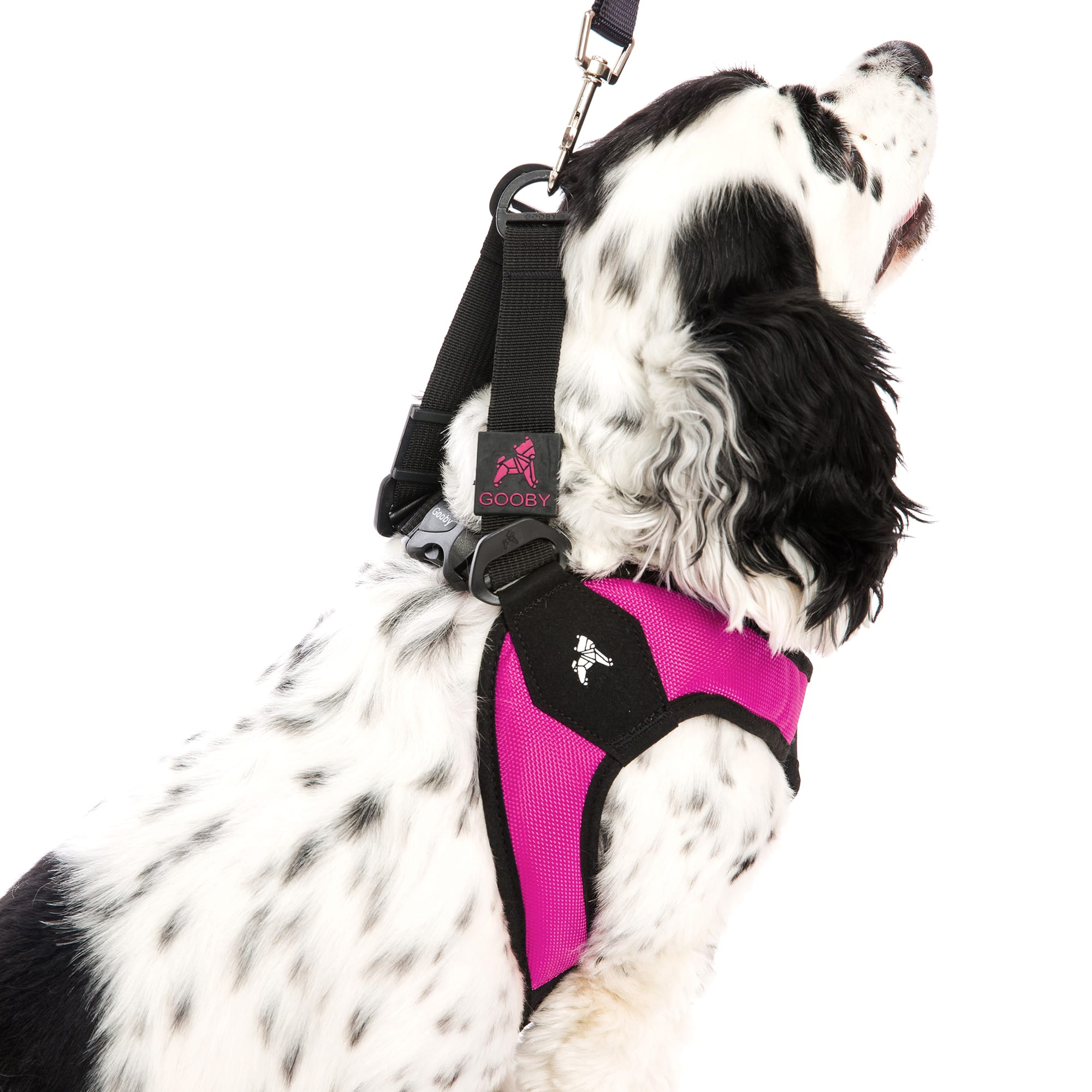 Gooby no 2024 escape harness