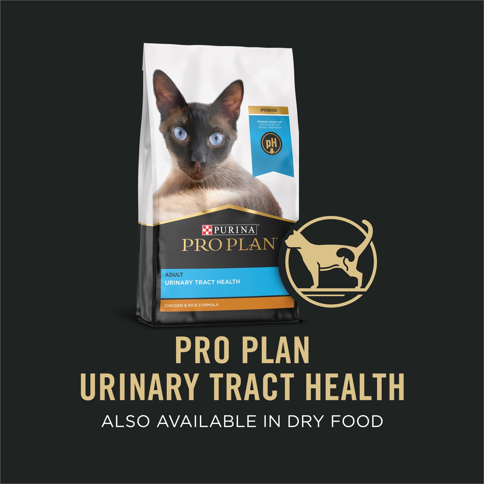 Chewy urinary cat food best sale