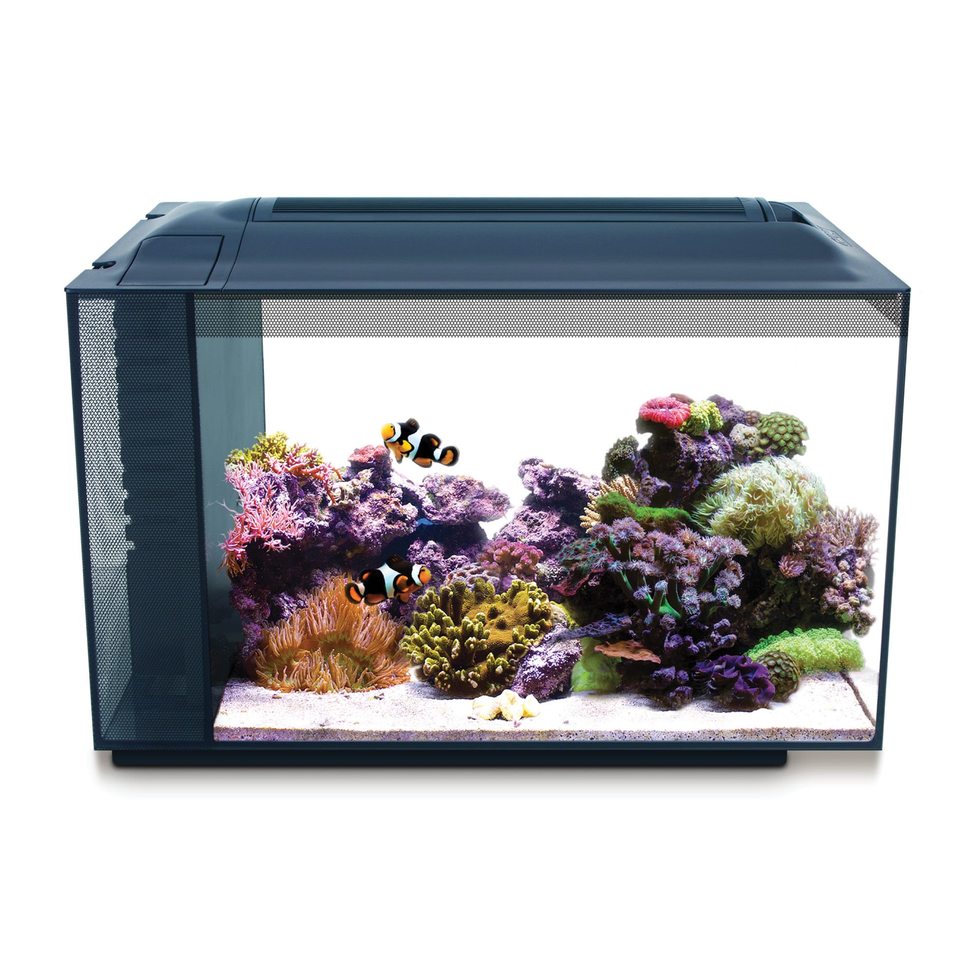 55 Pounds Real Reef Rock - Nano - Real Reef Solutions - Aquarium