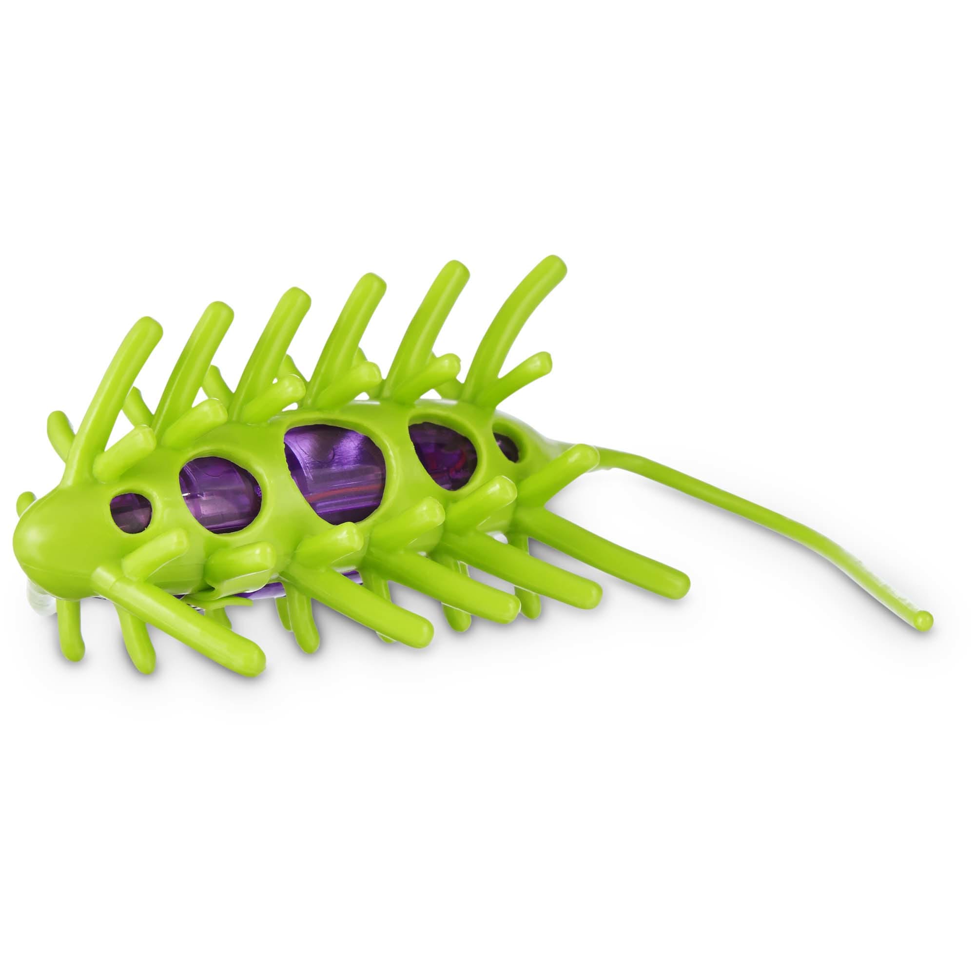 bug toy for cats