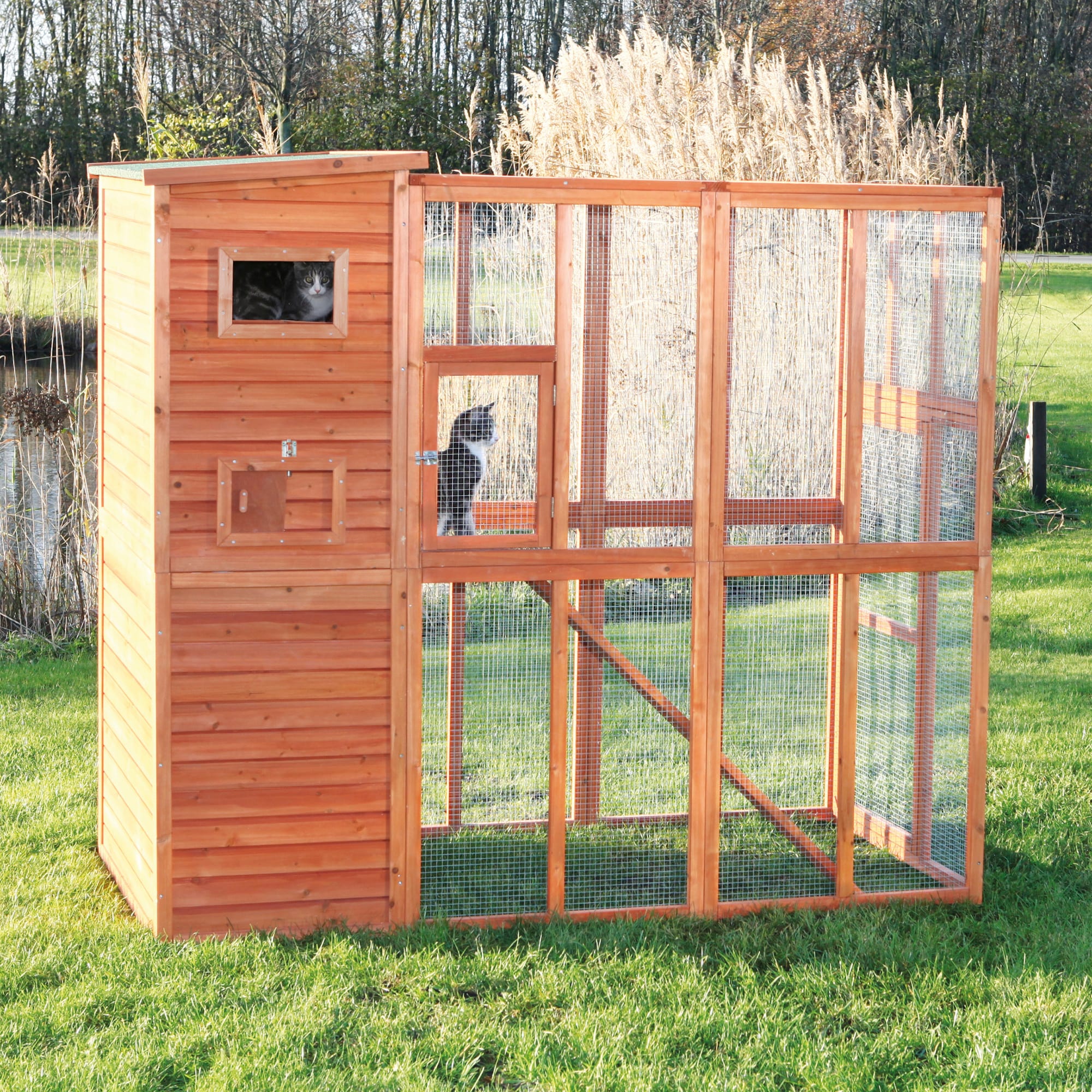 Outdoor cat clearance shed