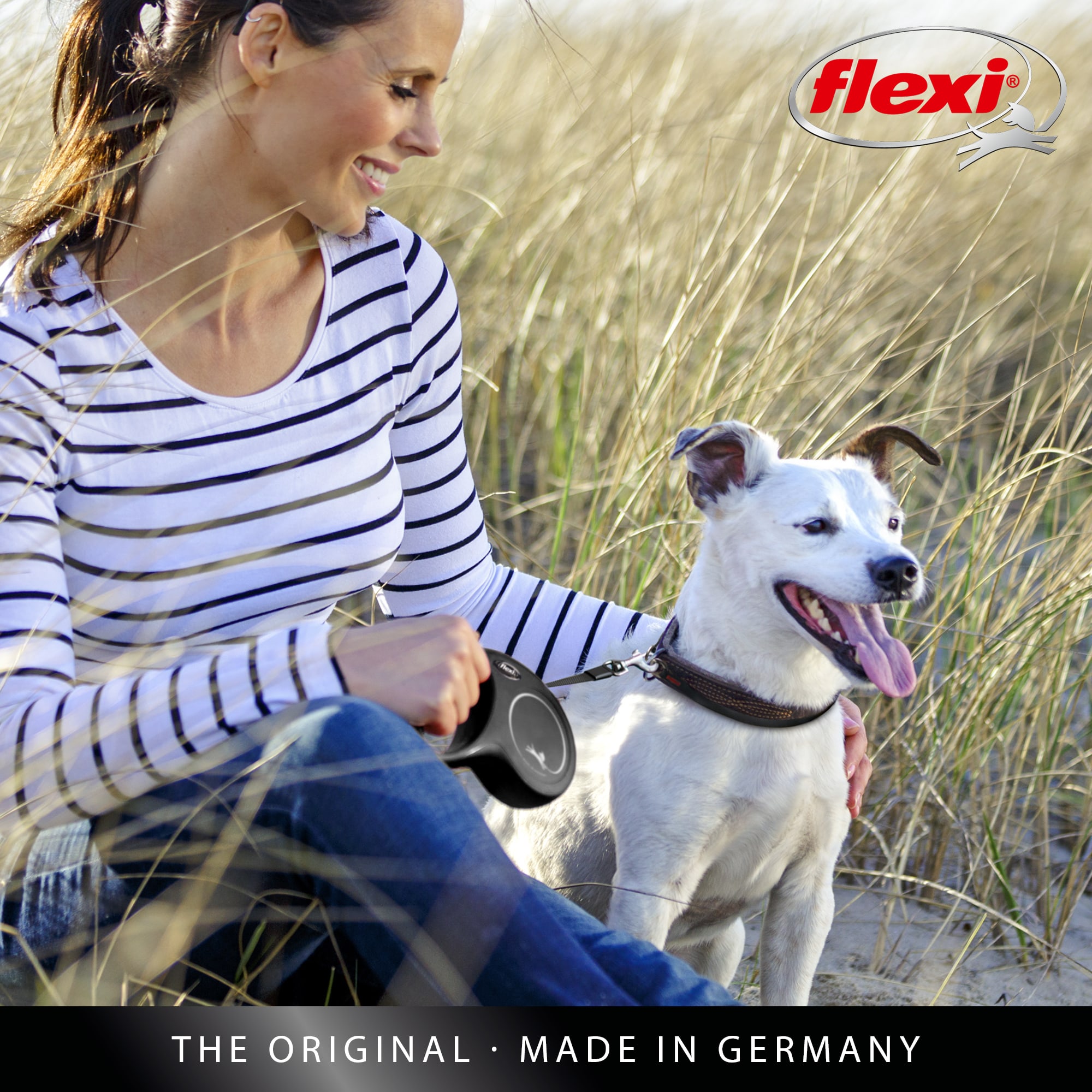 Petco flexi leash best sale