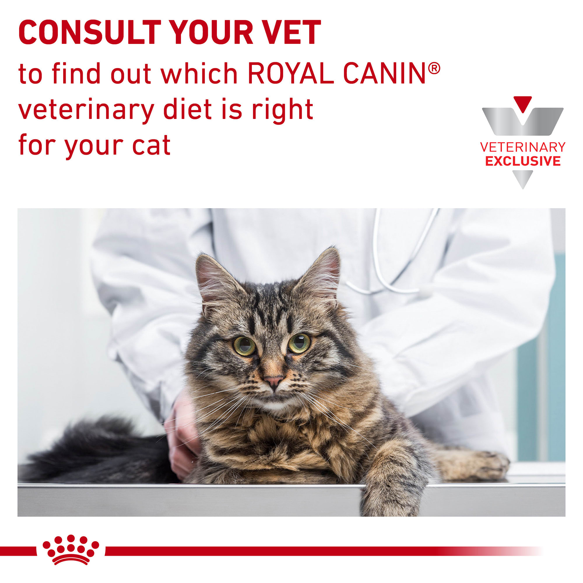 Royal canin duck and pea cat food sales