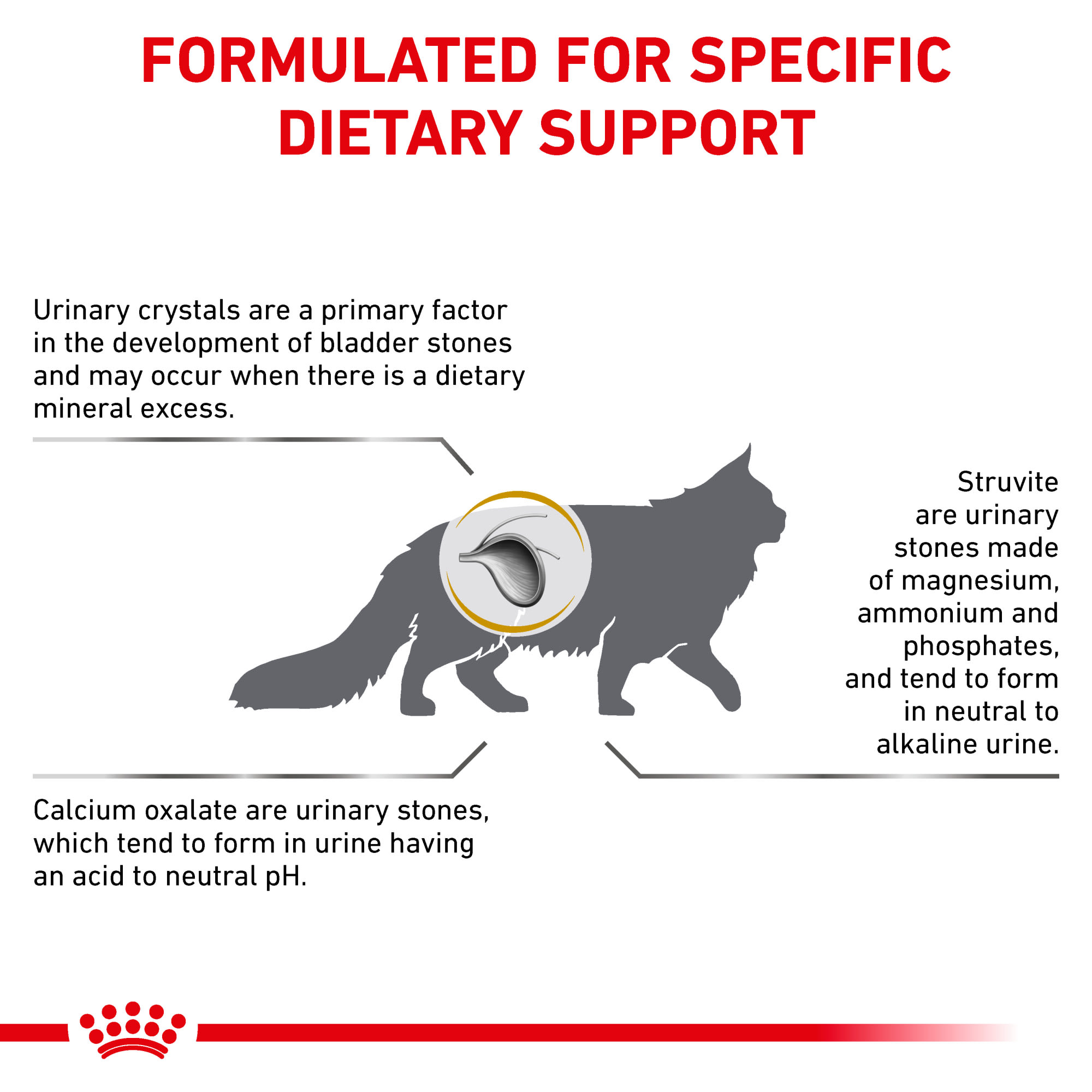 Royal Canin VDIET URINARY HIGH DILUTION FELINE 6KG - Petgamma